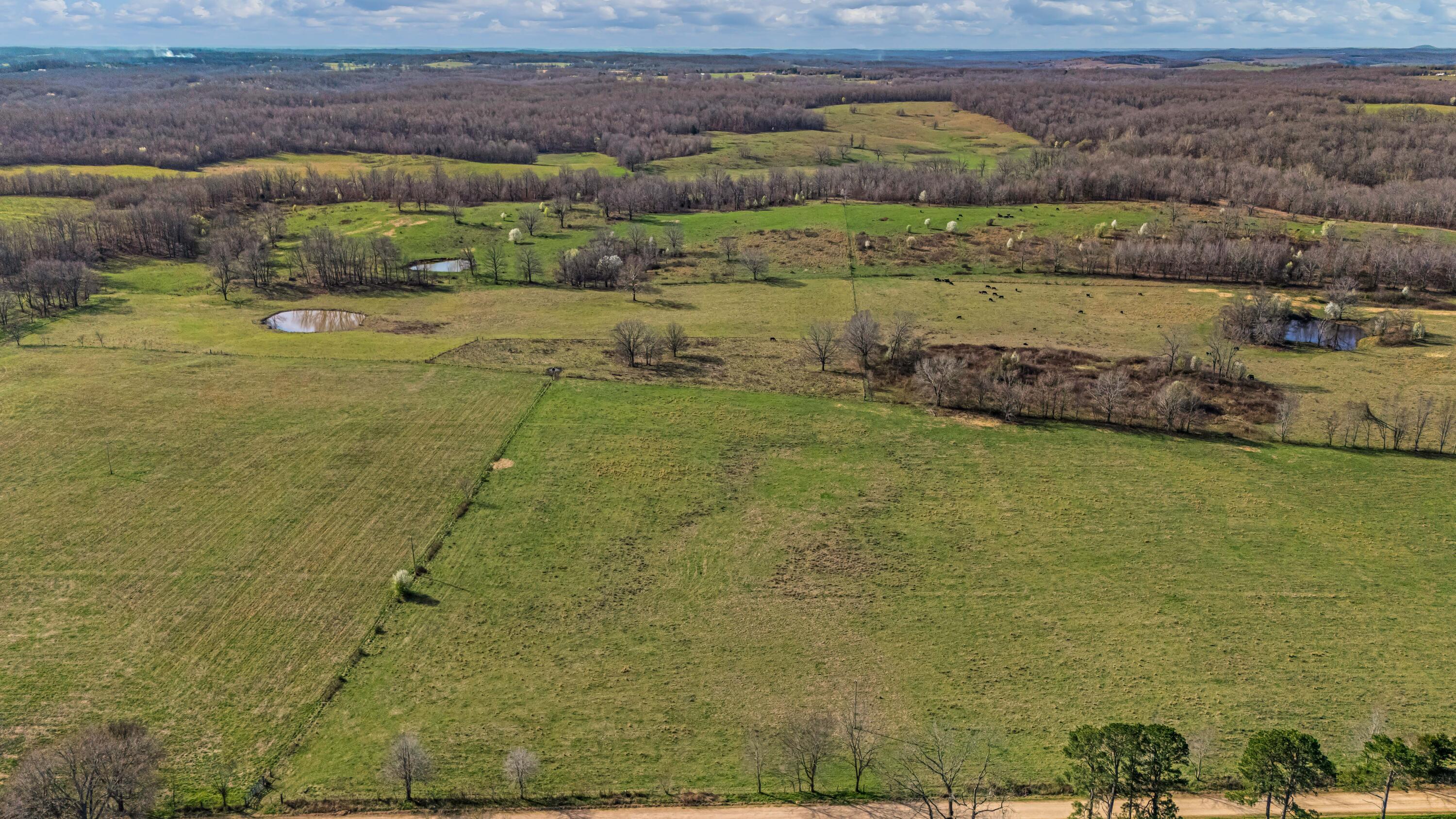 main property photo 99