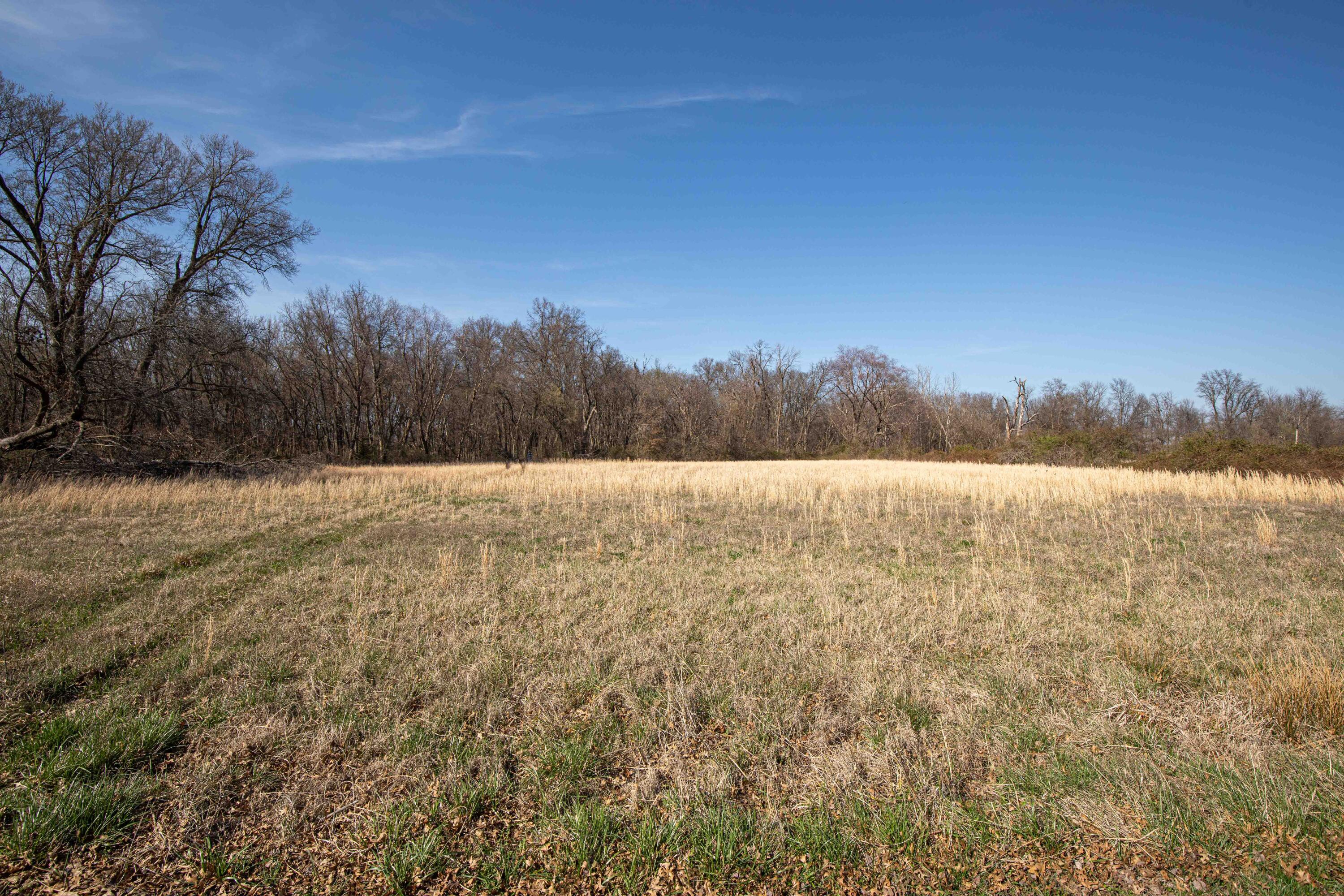 main property photo 46