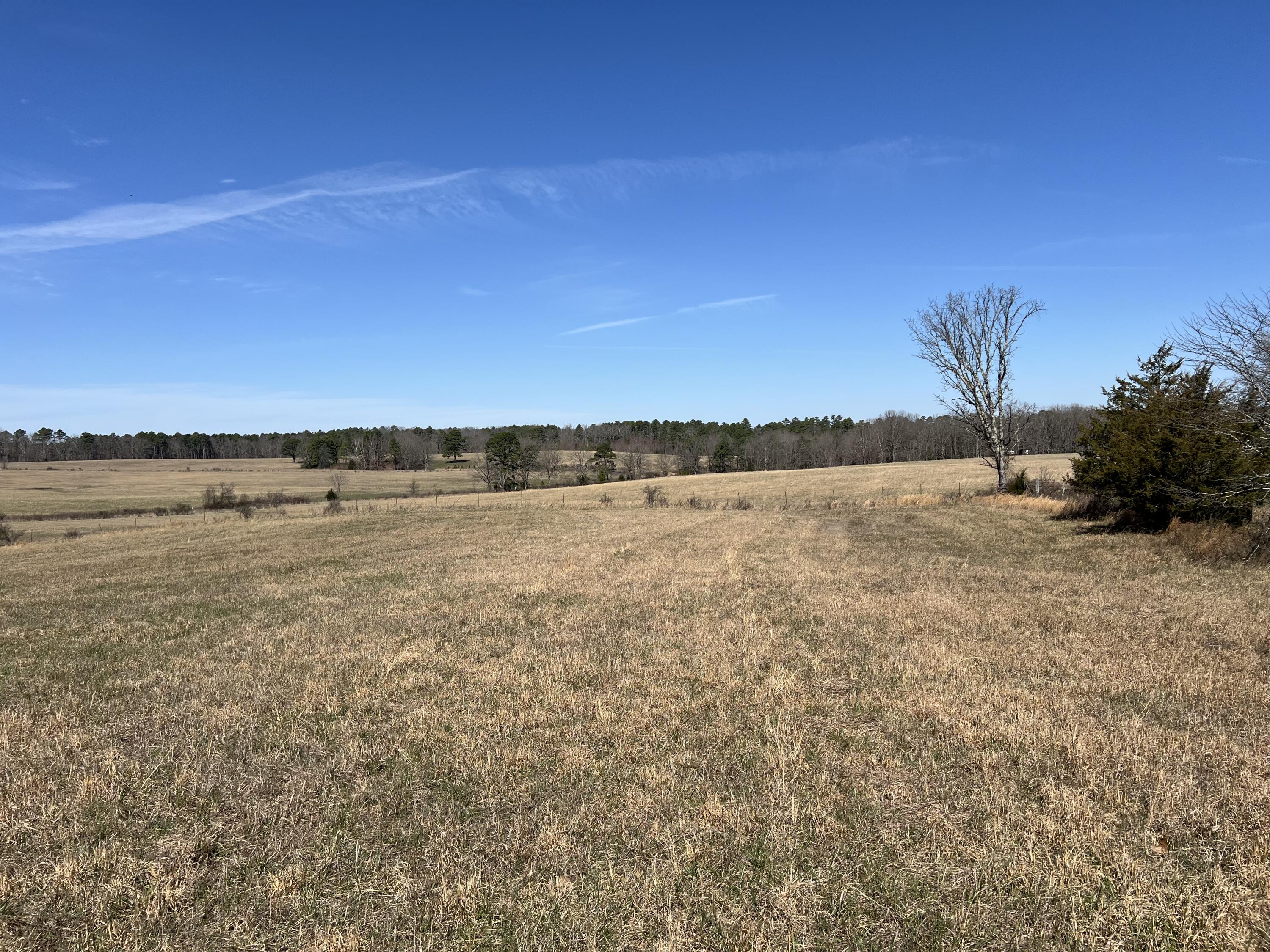 main property photo 61