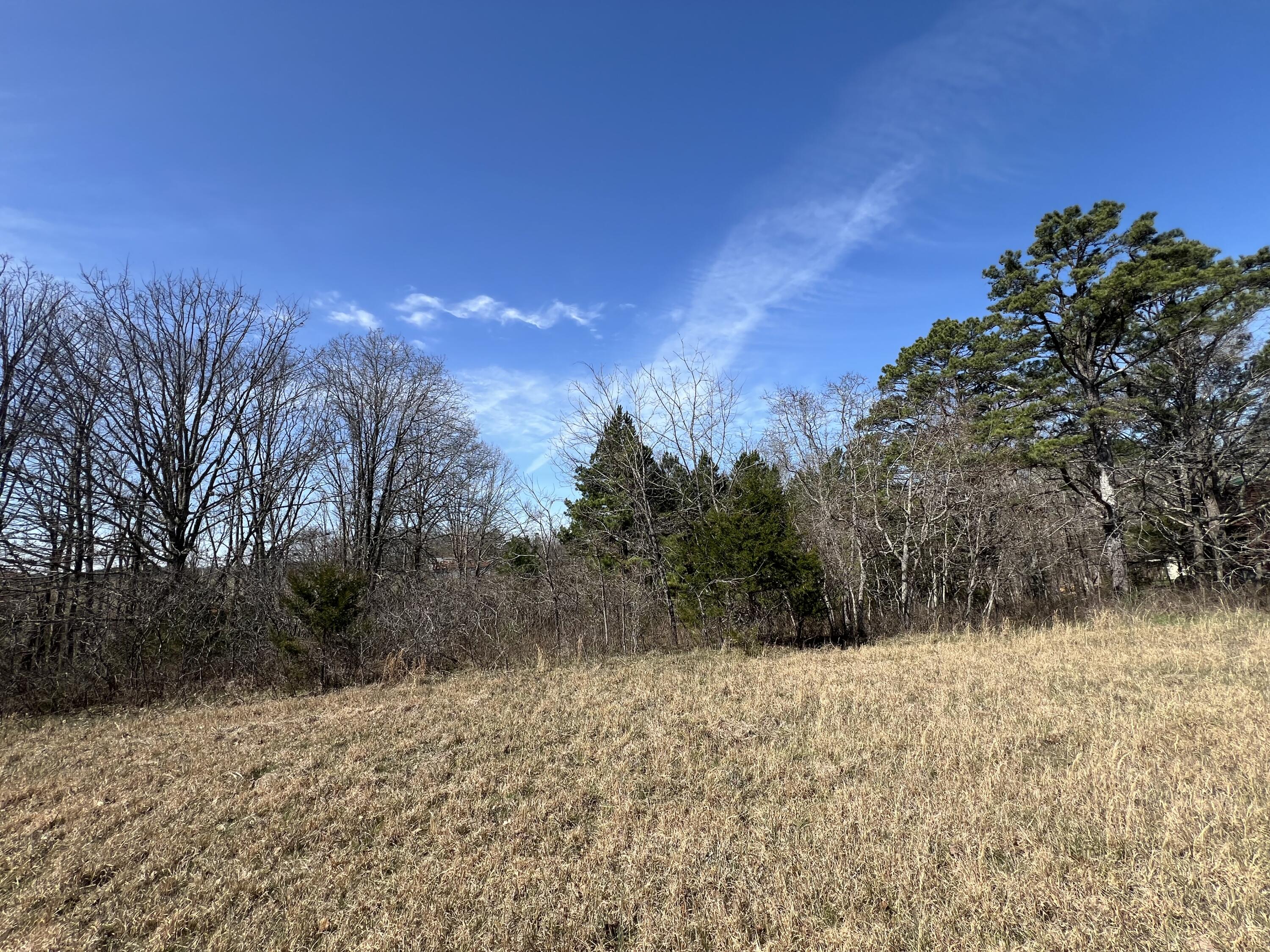 main property photo 69