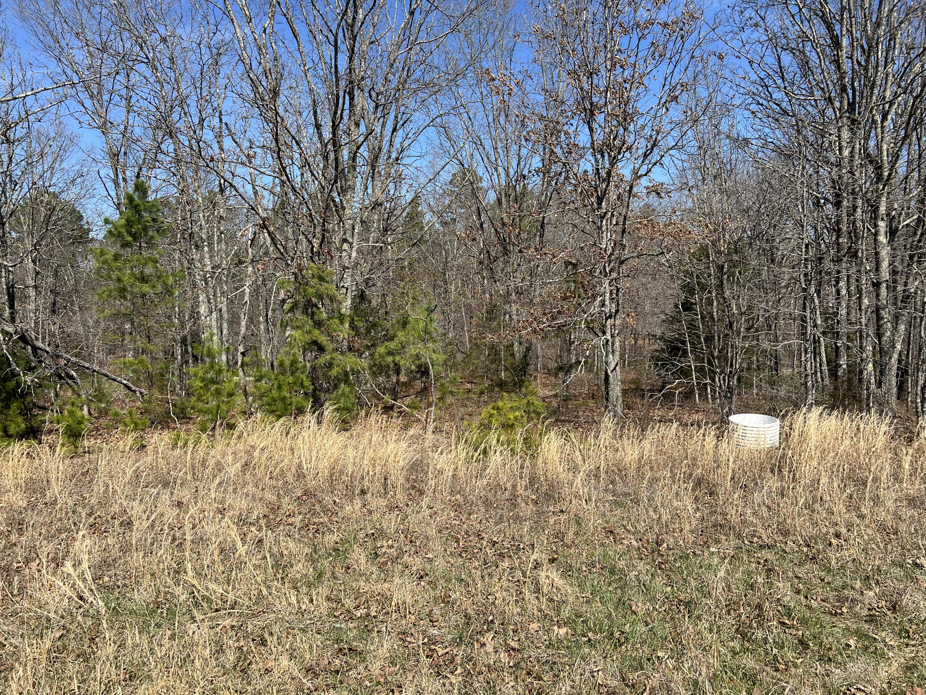 main property photo 74