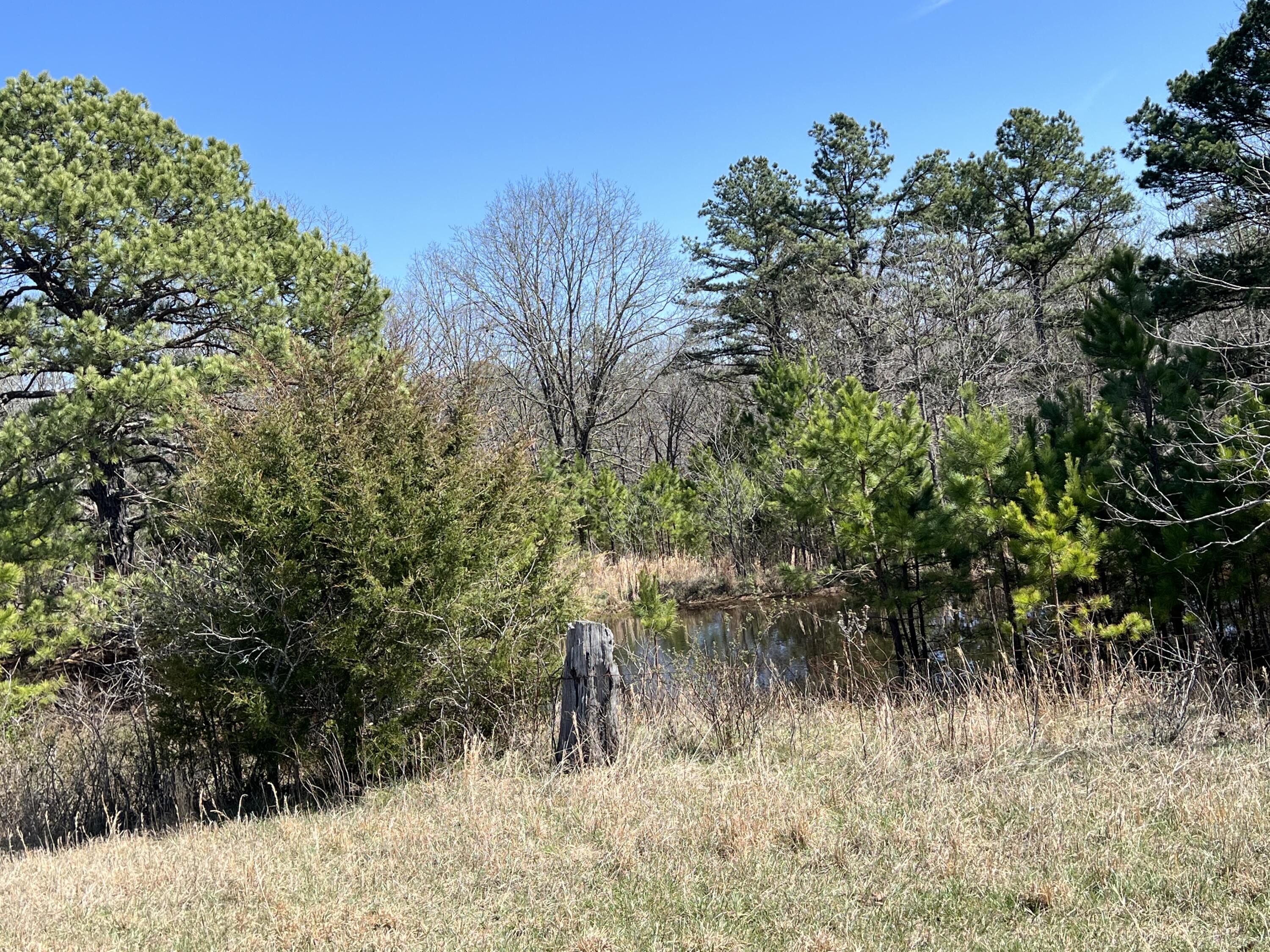 main property photo 81