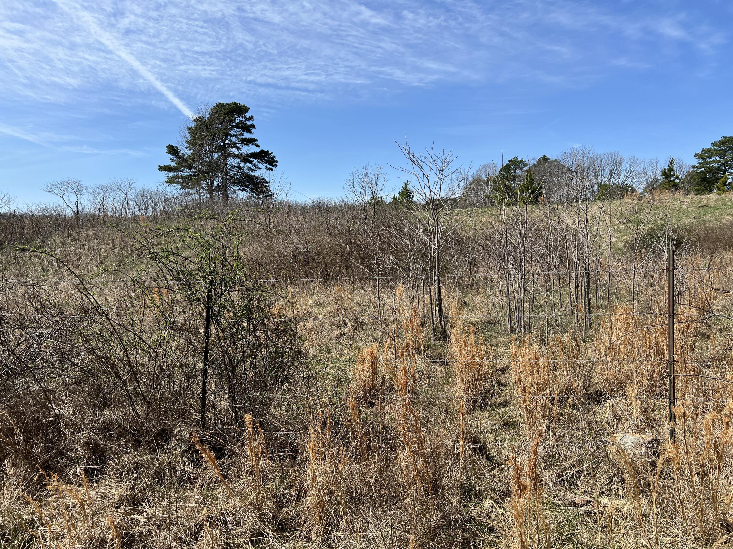 main property photo 85