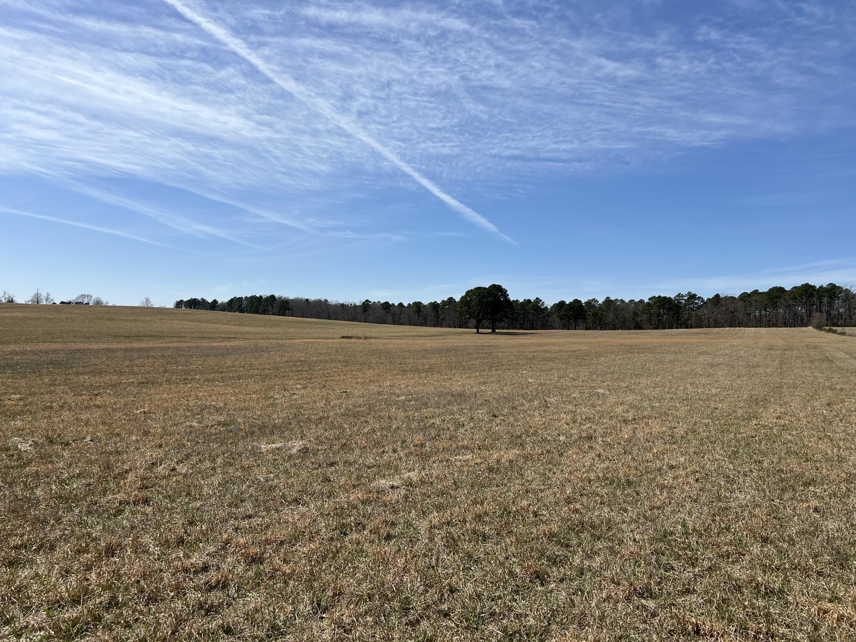 main property photo 86