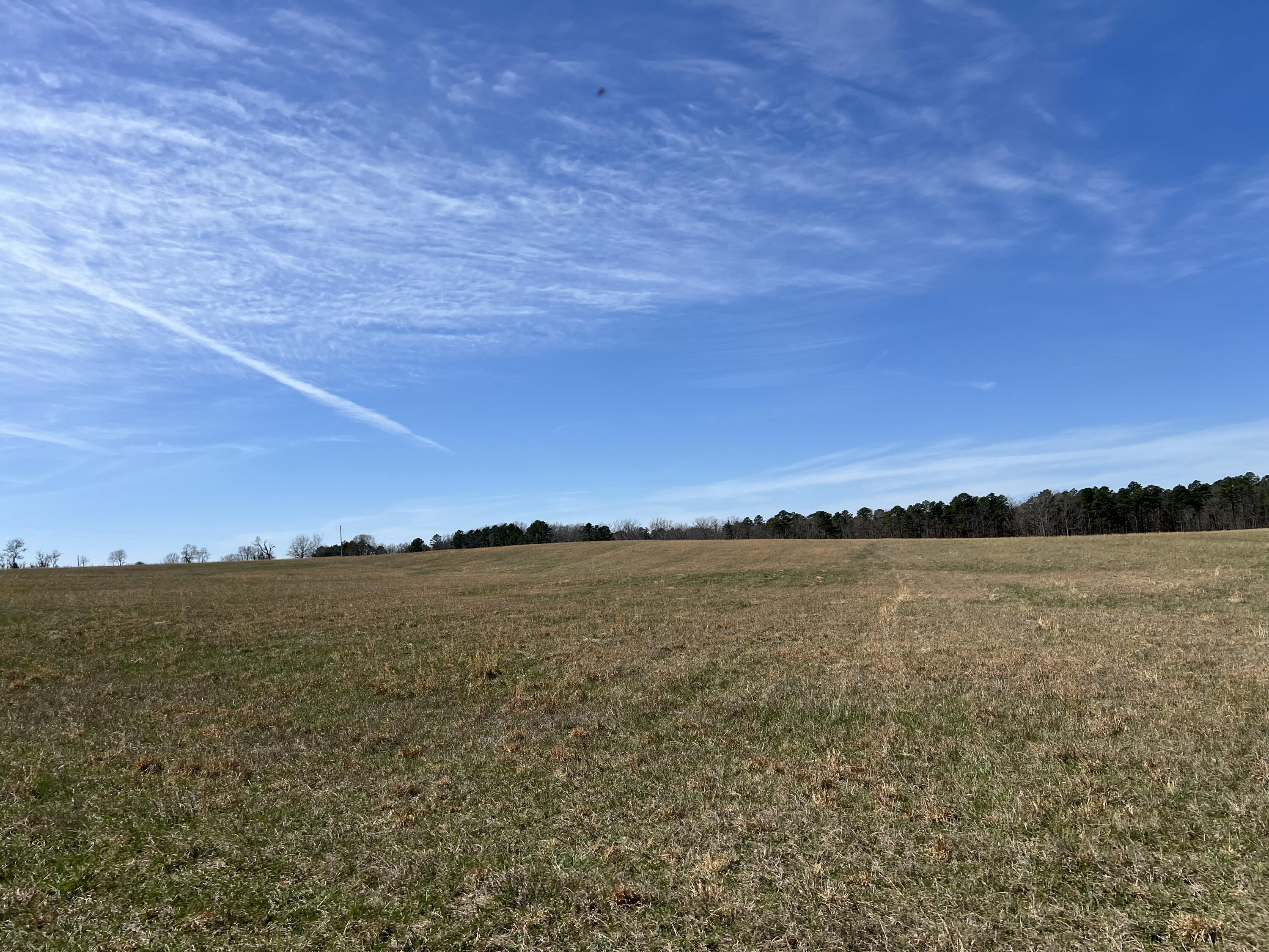 main property photo 89