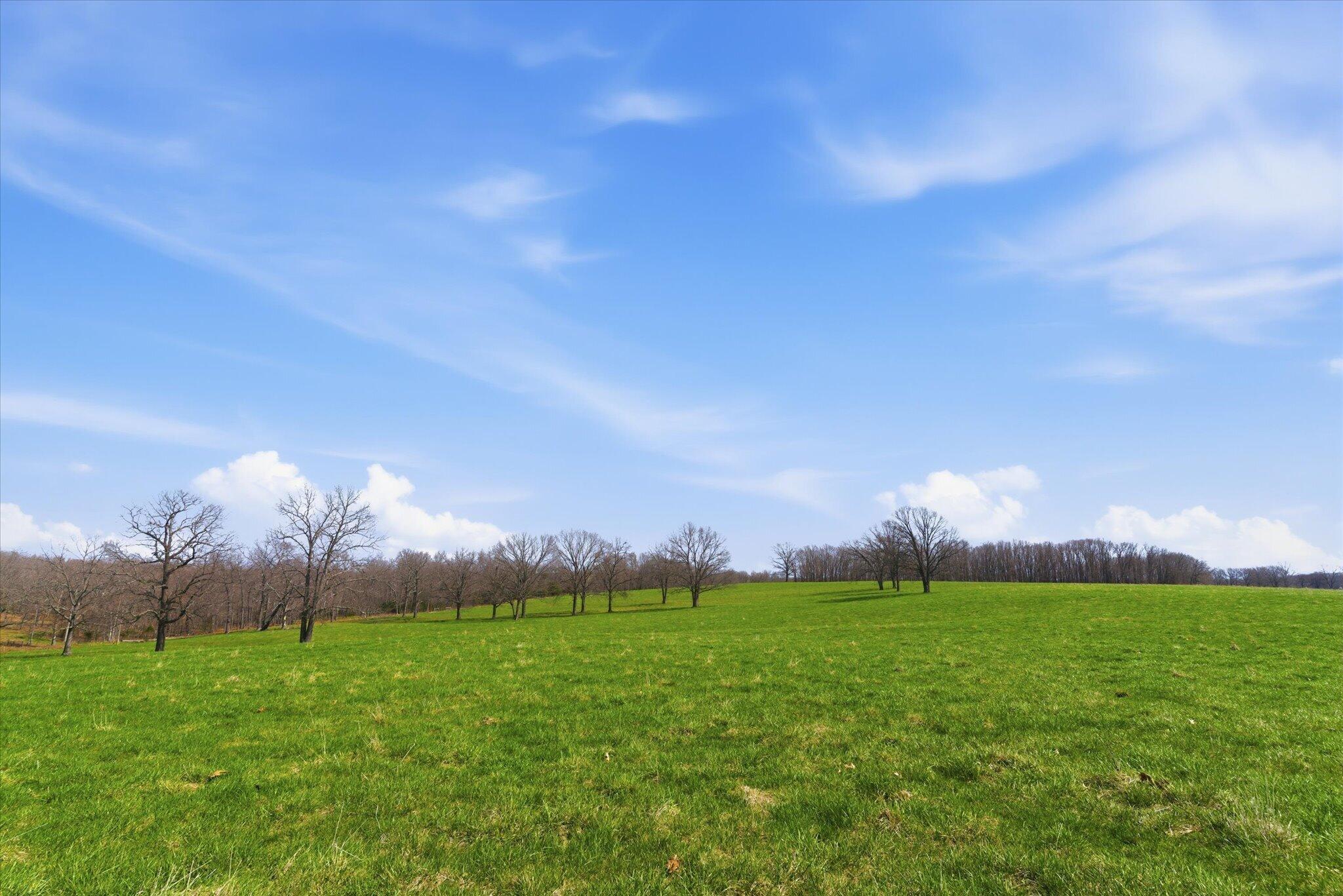 main property photo 68