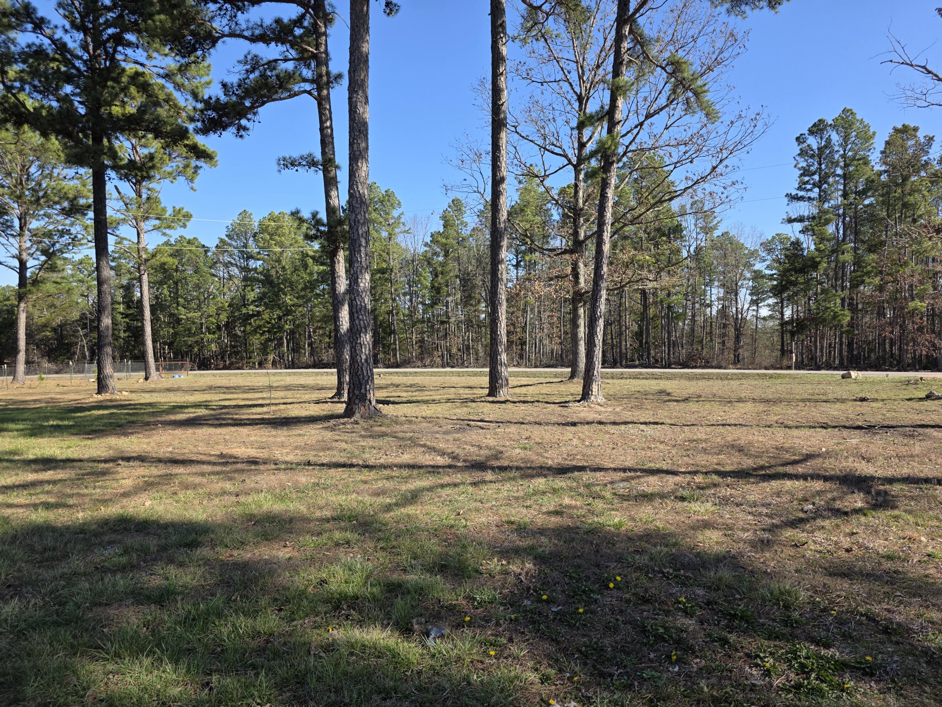 main property photo 38