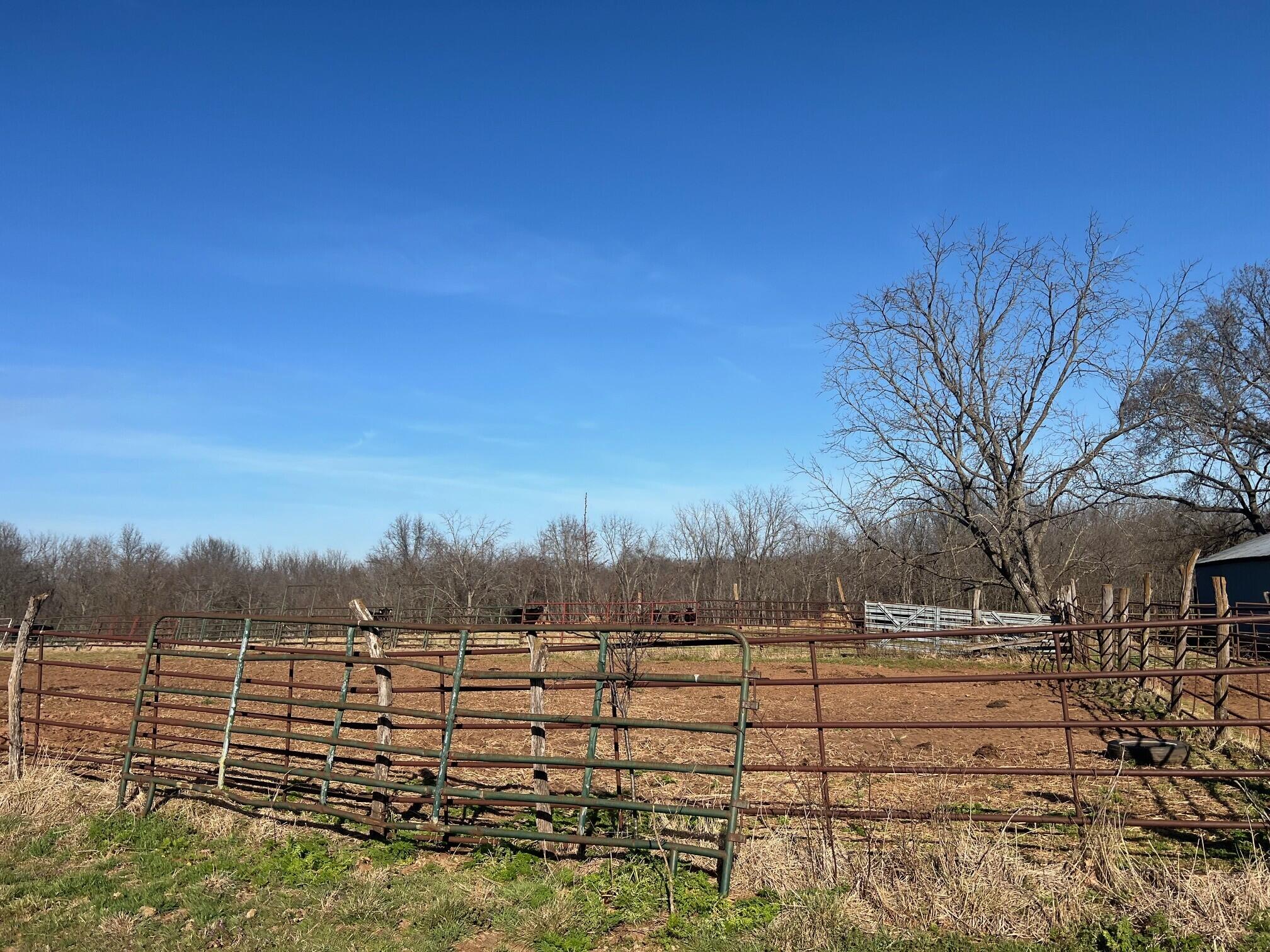 main property photo 55