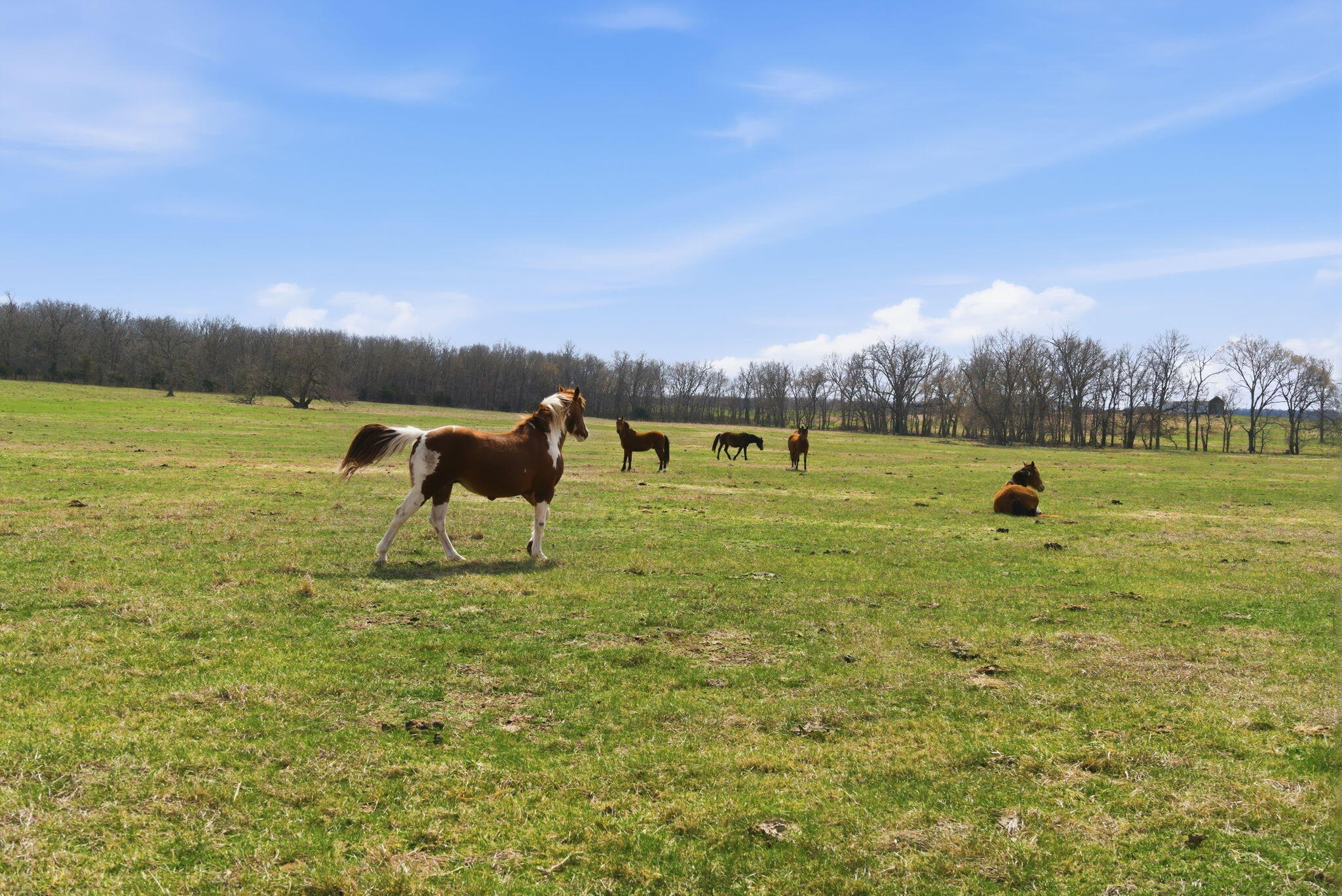 main property photo 50