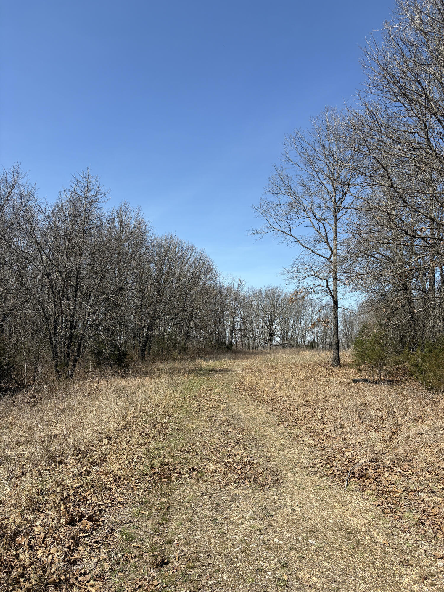 main property photo 44