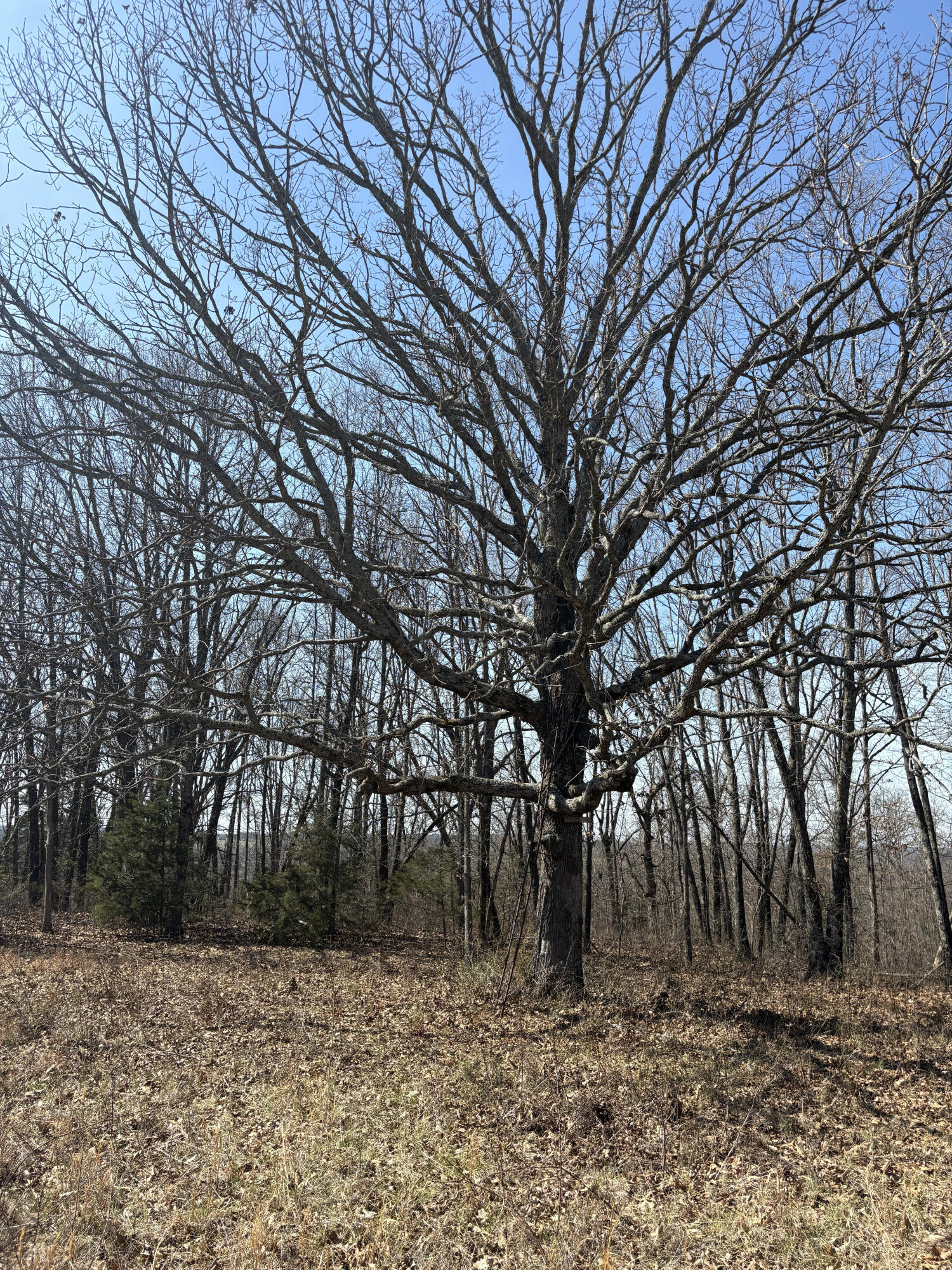 main property photo 49