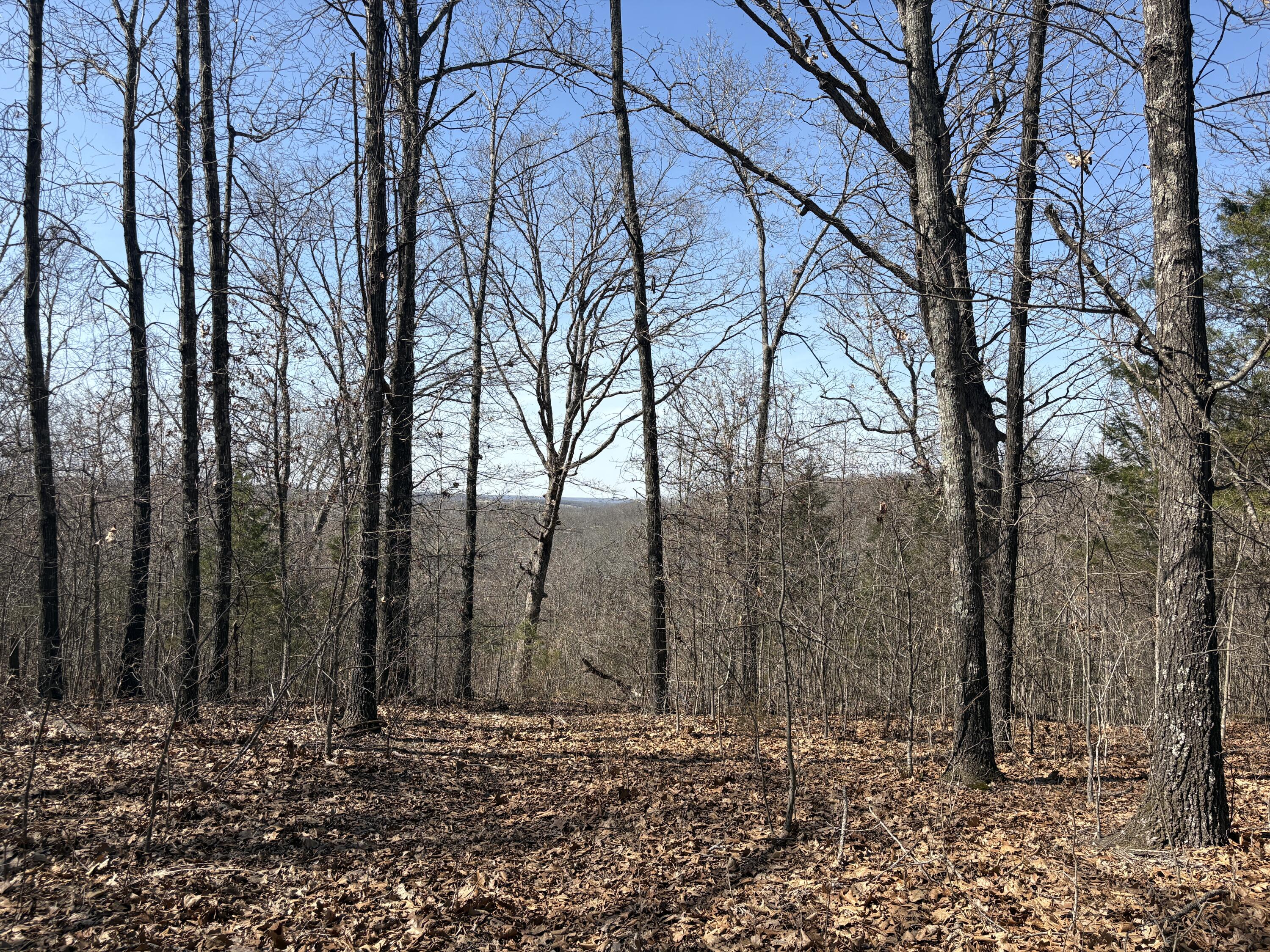 main property photo 50