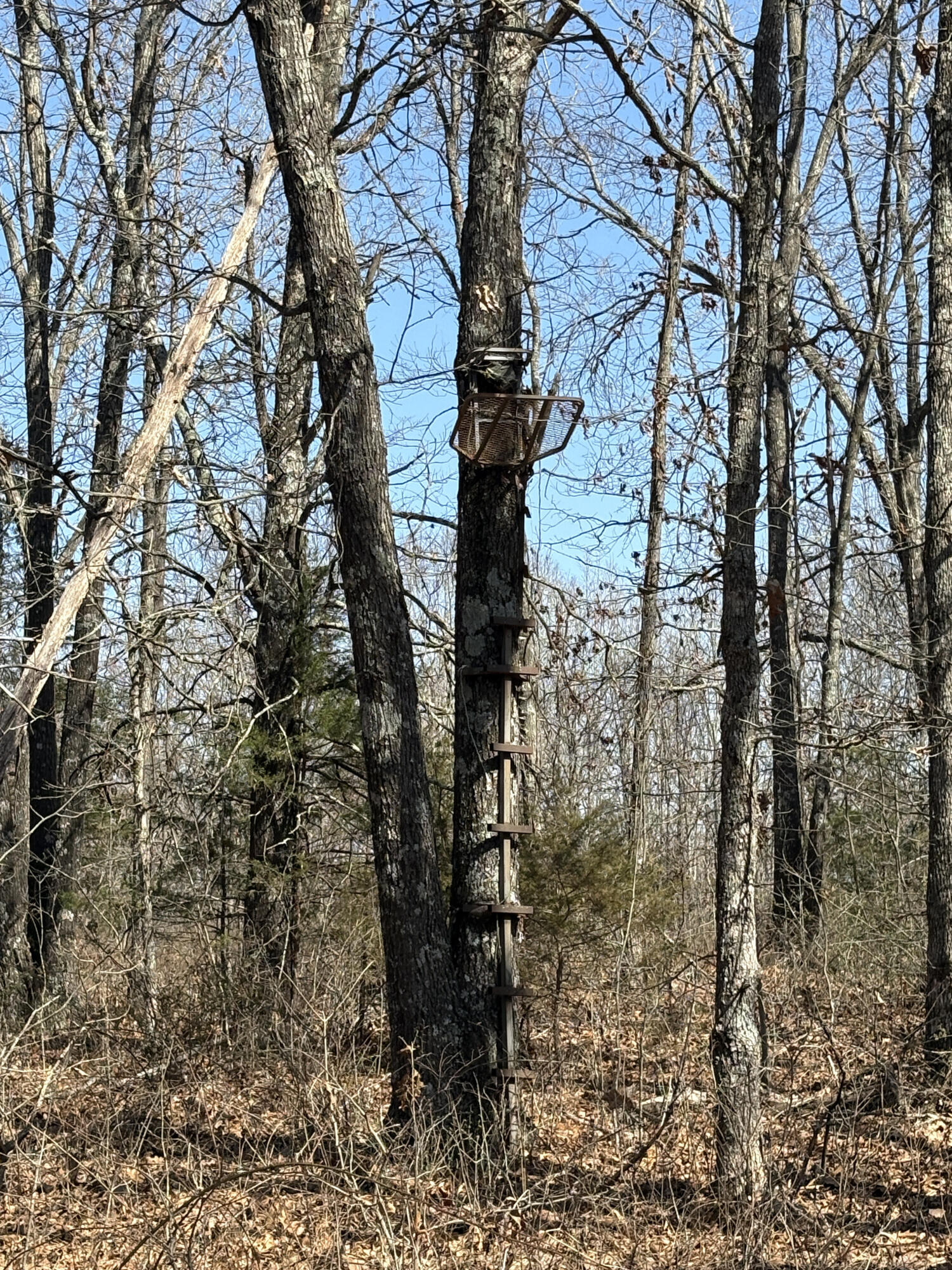 main property photo 51