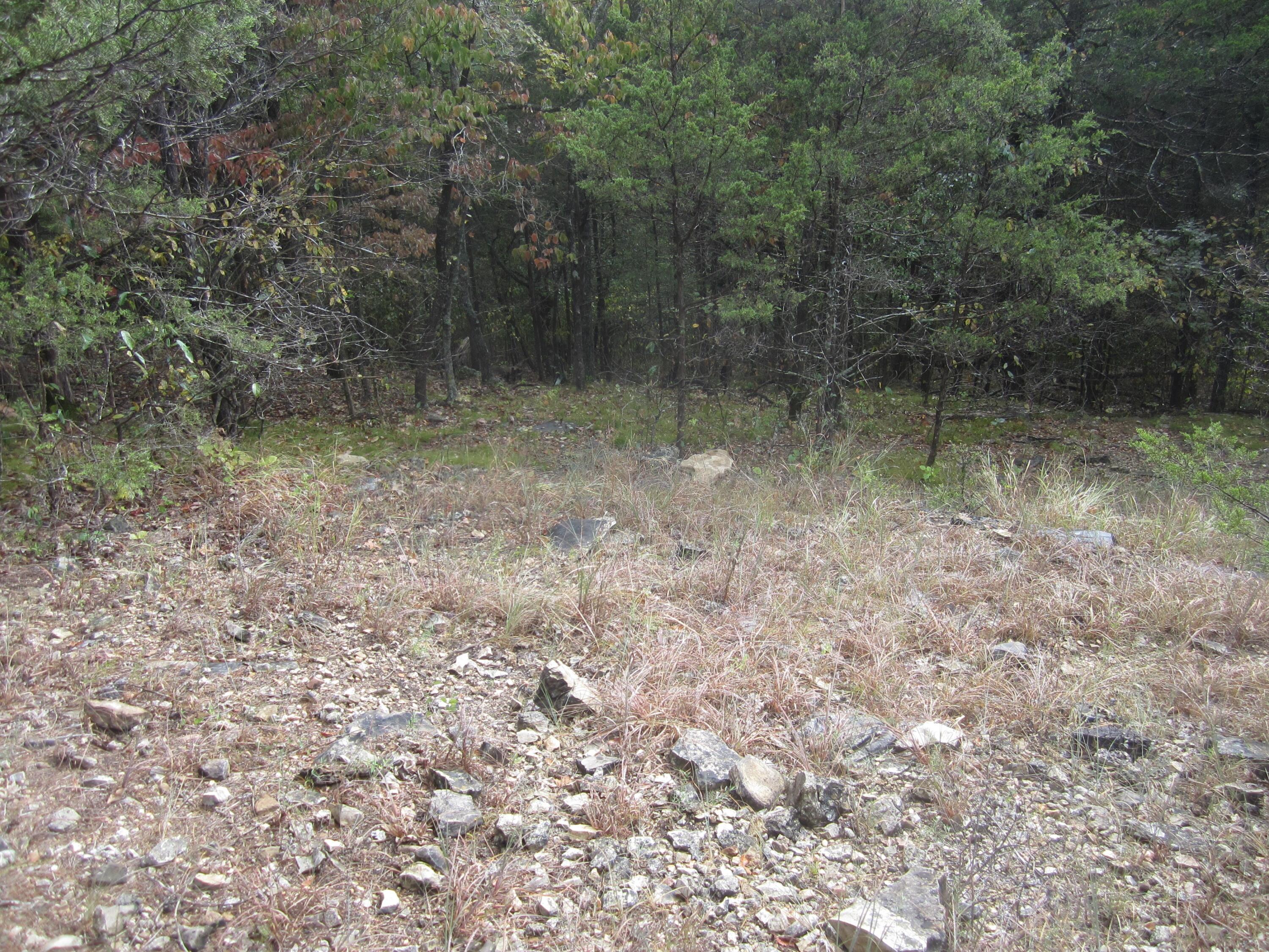 main property photo 19
