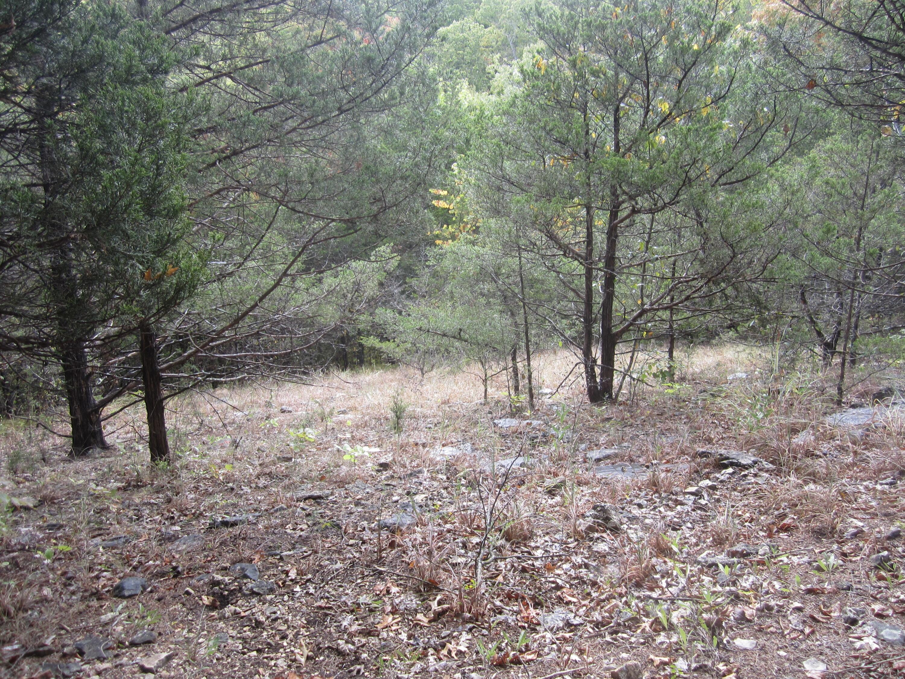 main property photo 20