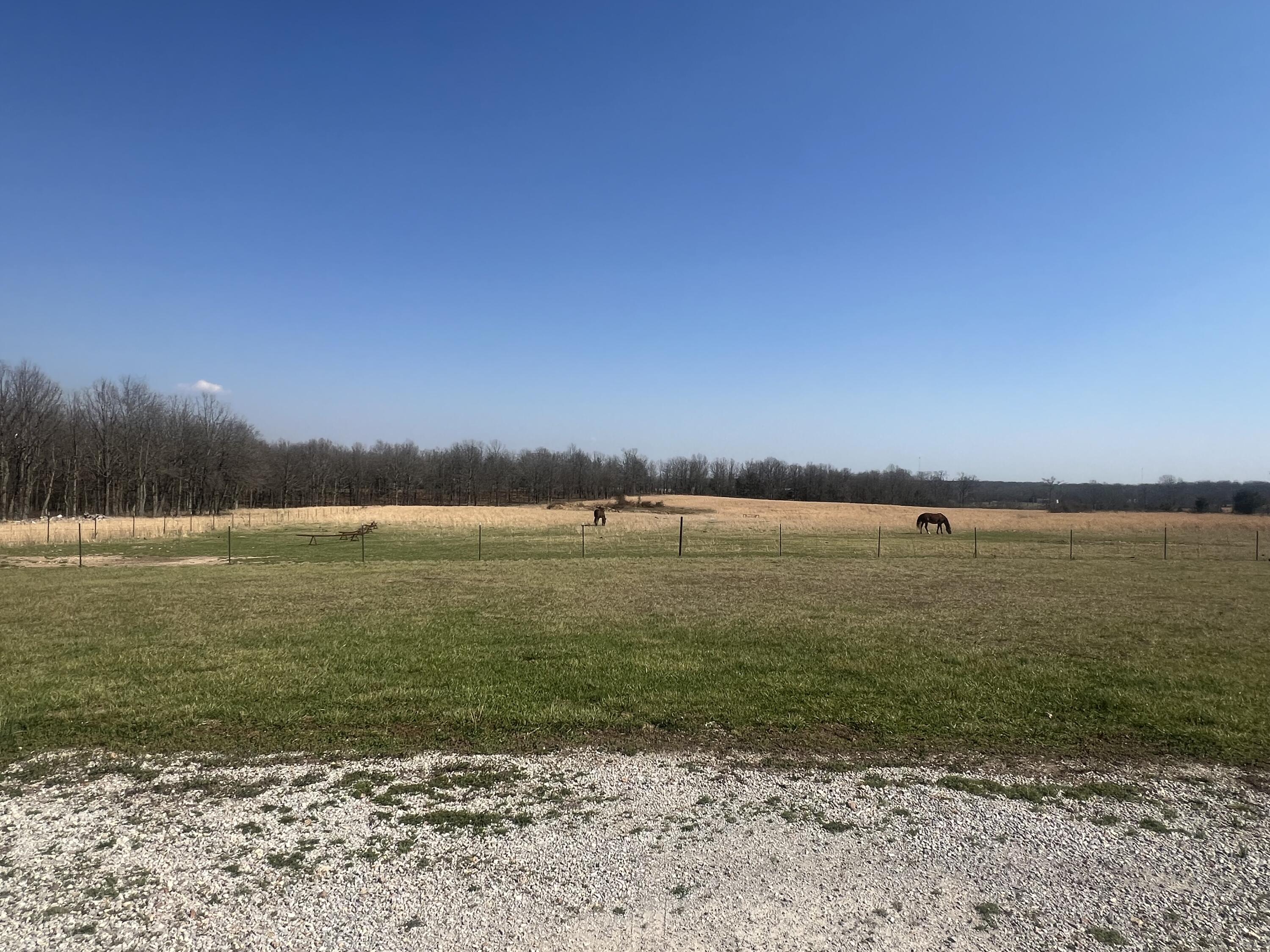 main property photo 115