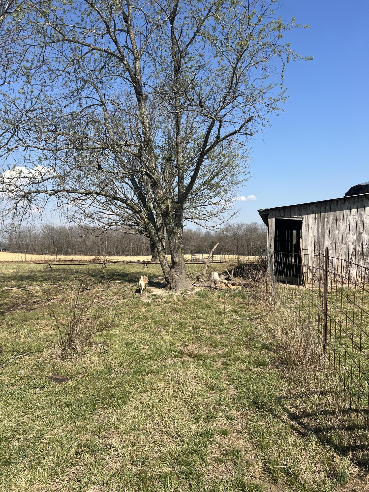 main property photo 63
