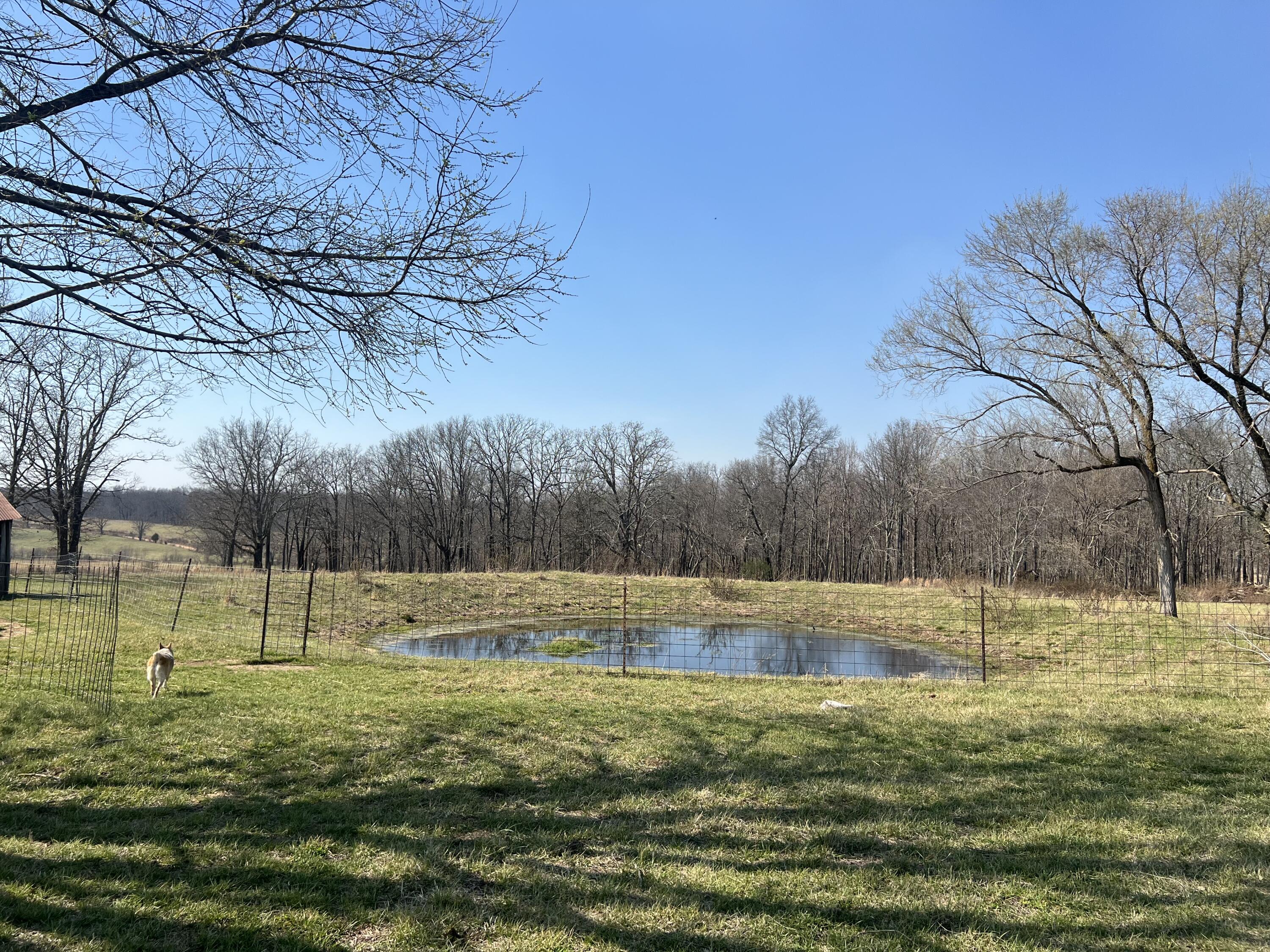 main property photo 68