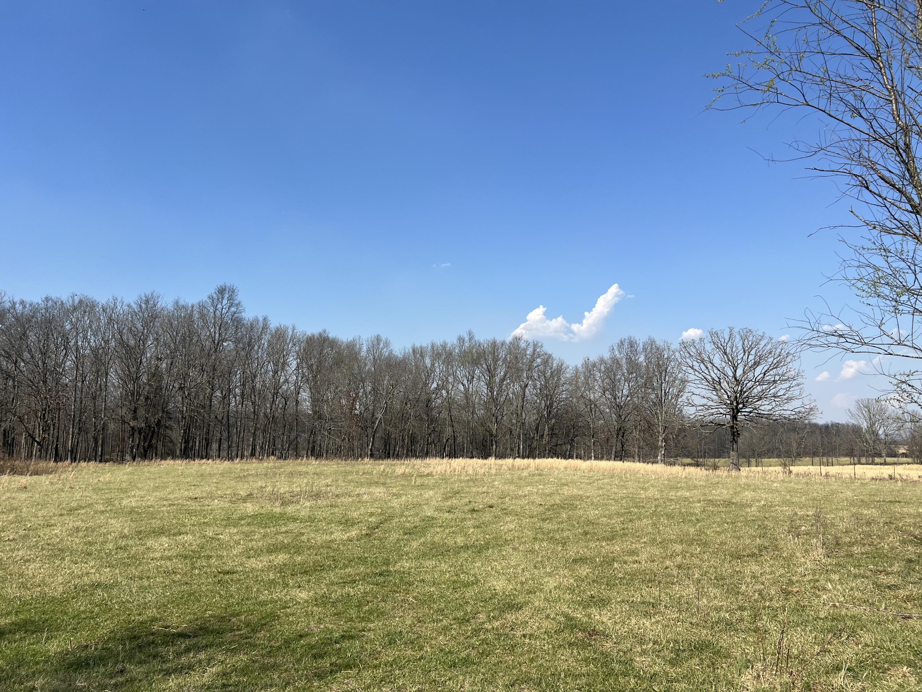 main property photo 85