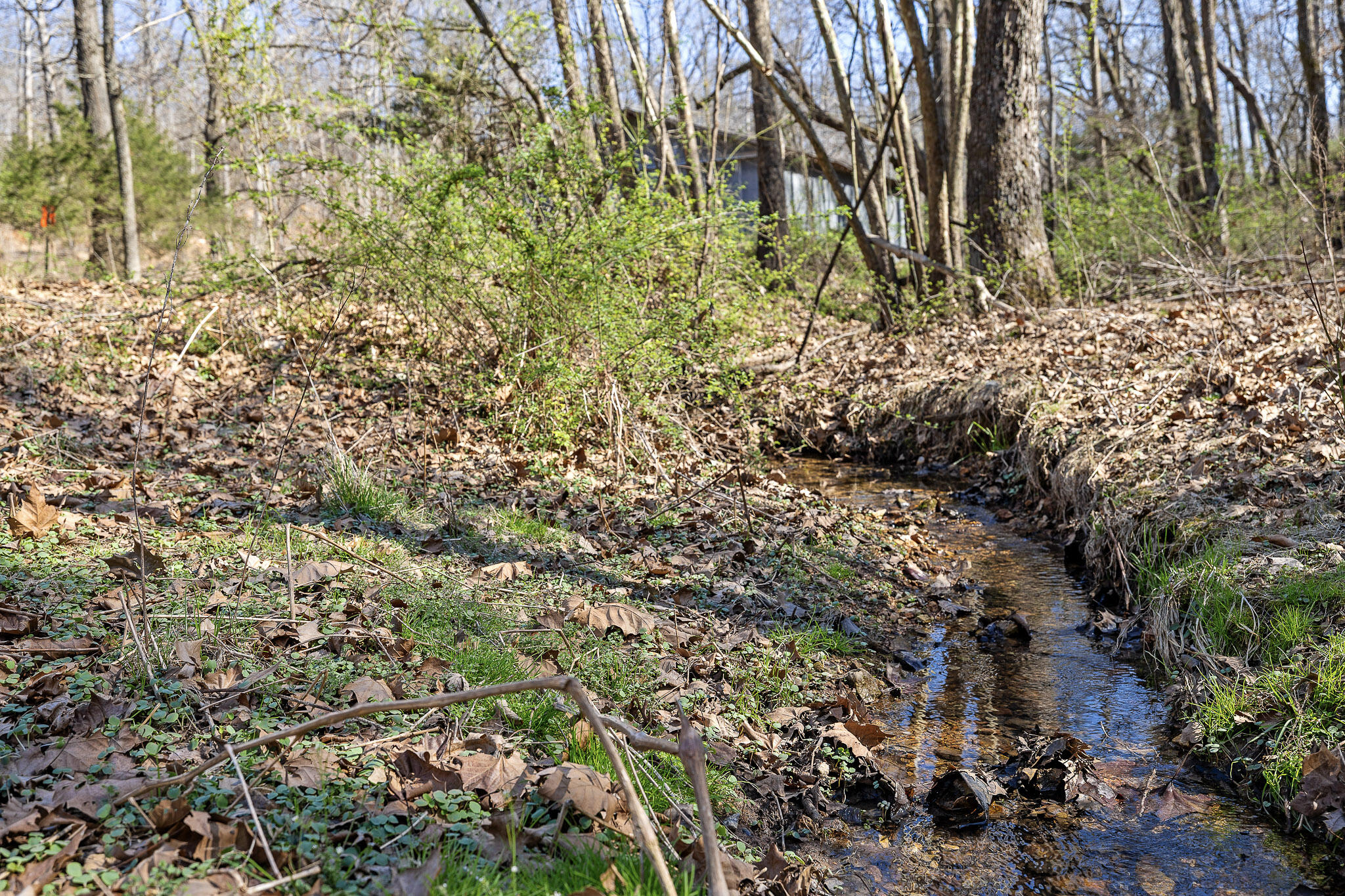 main property photo 53
