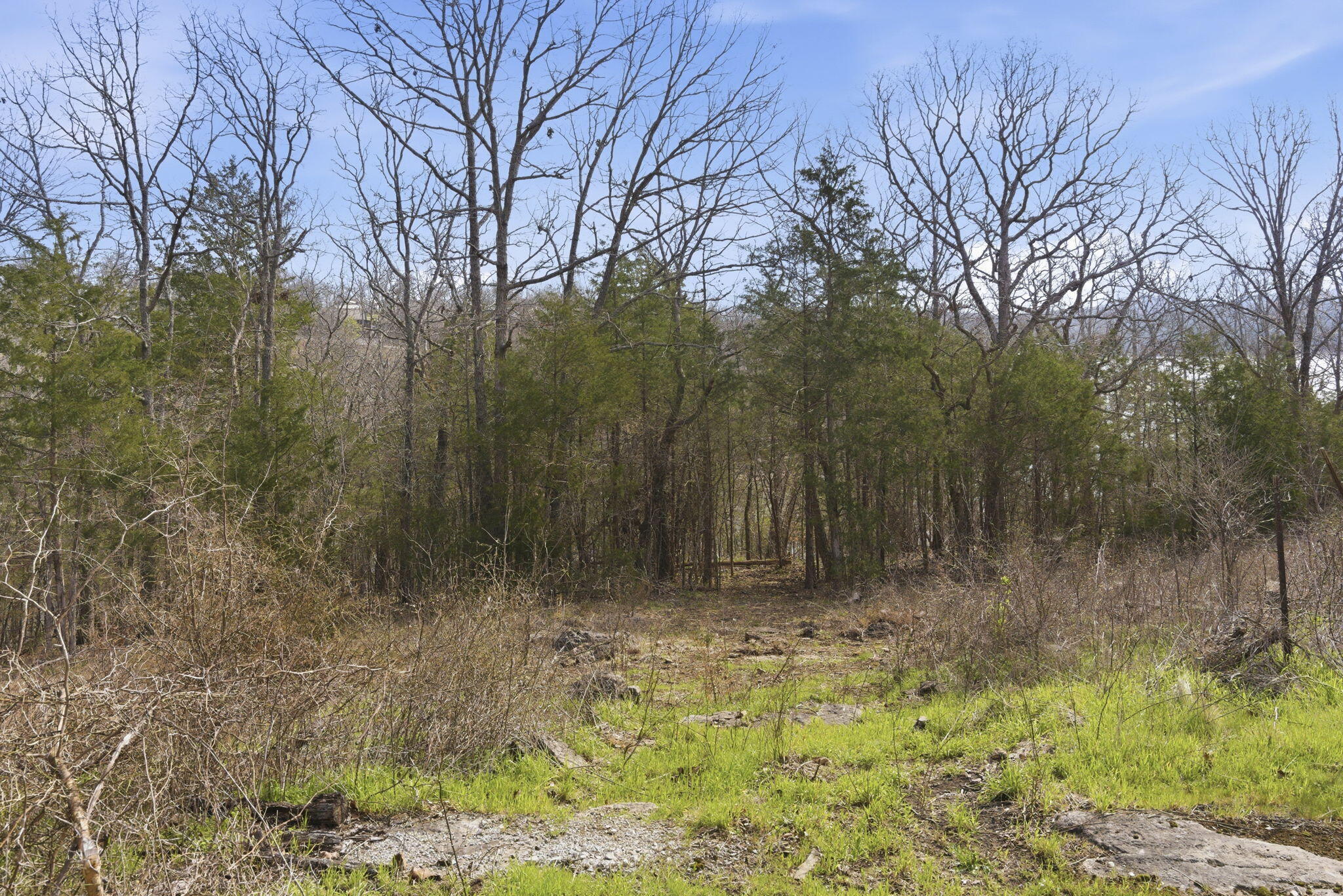 main property photo 36