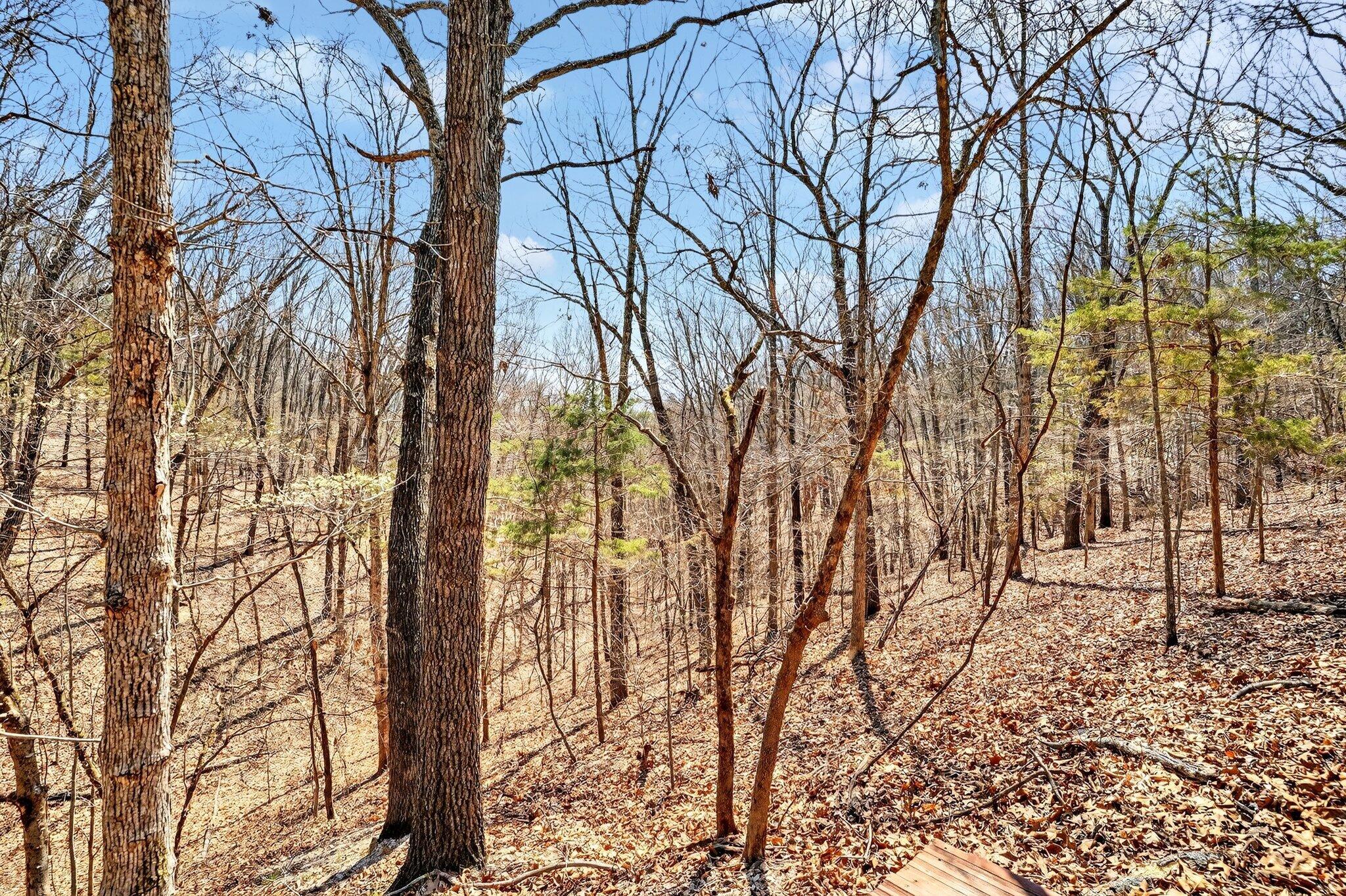 main property photo 50