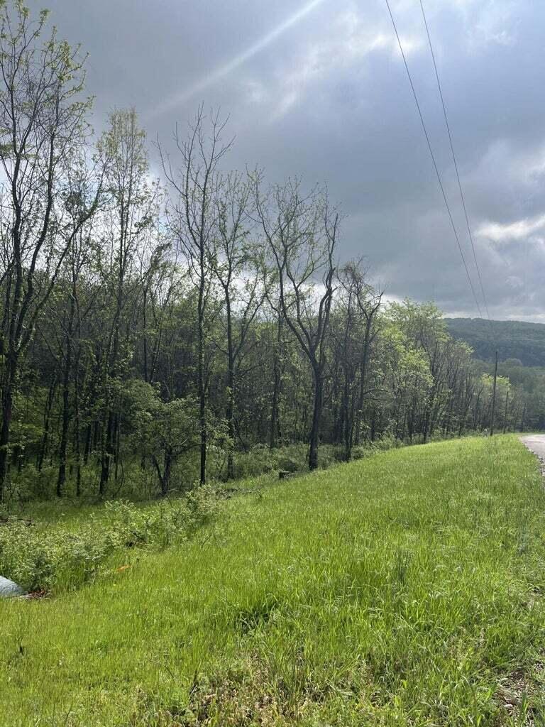 main property photo 3