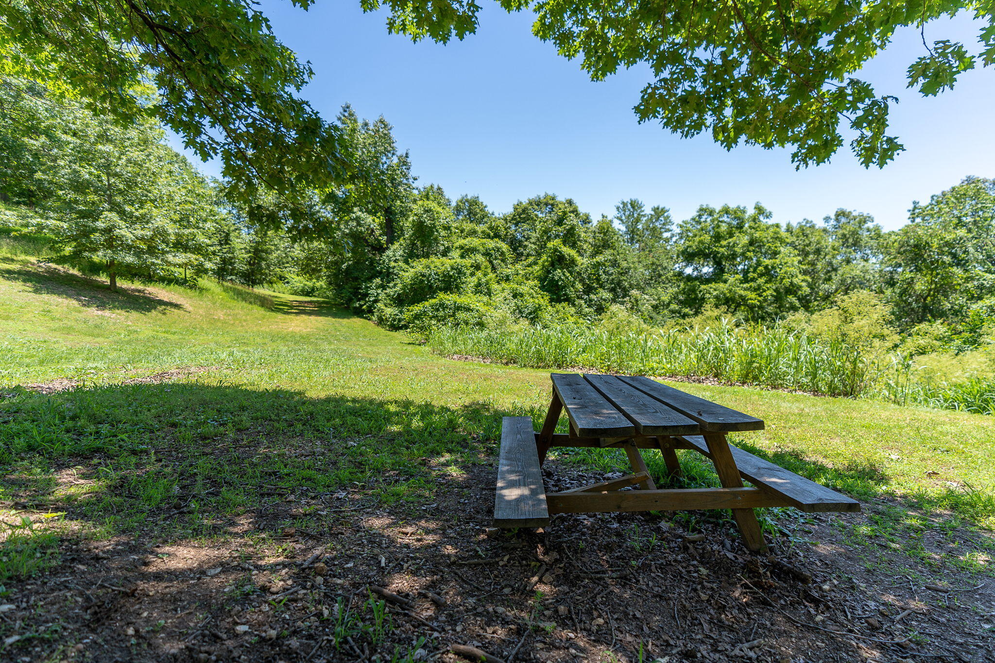 main property photo 40