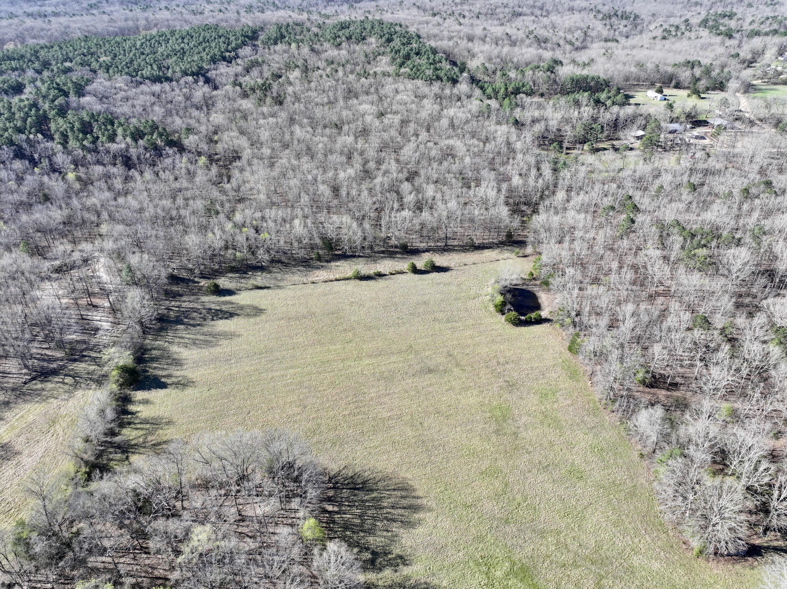 main property photo 40