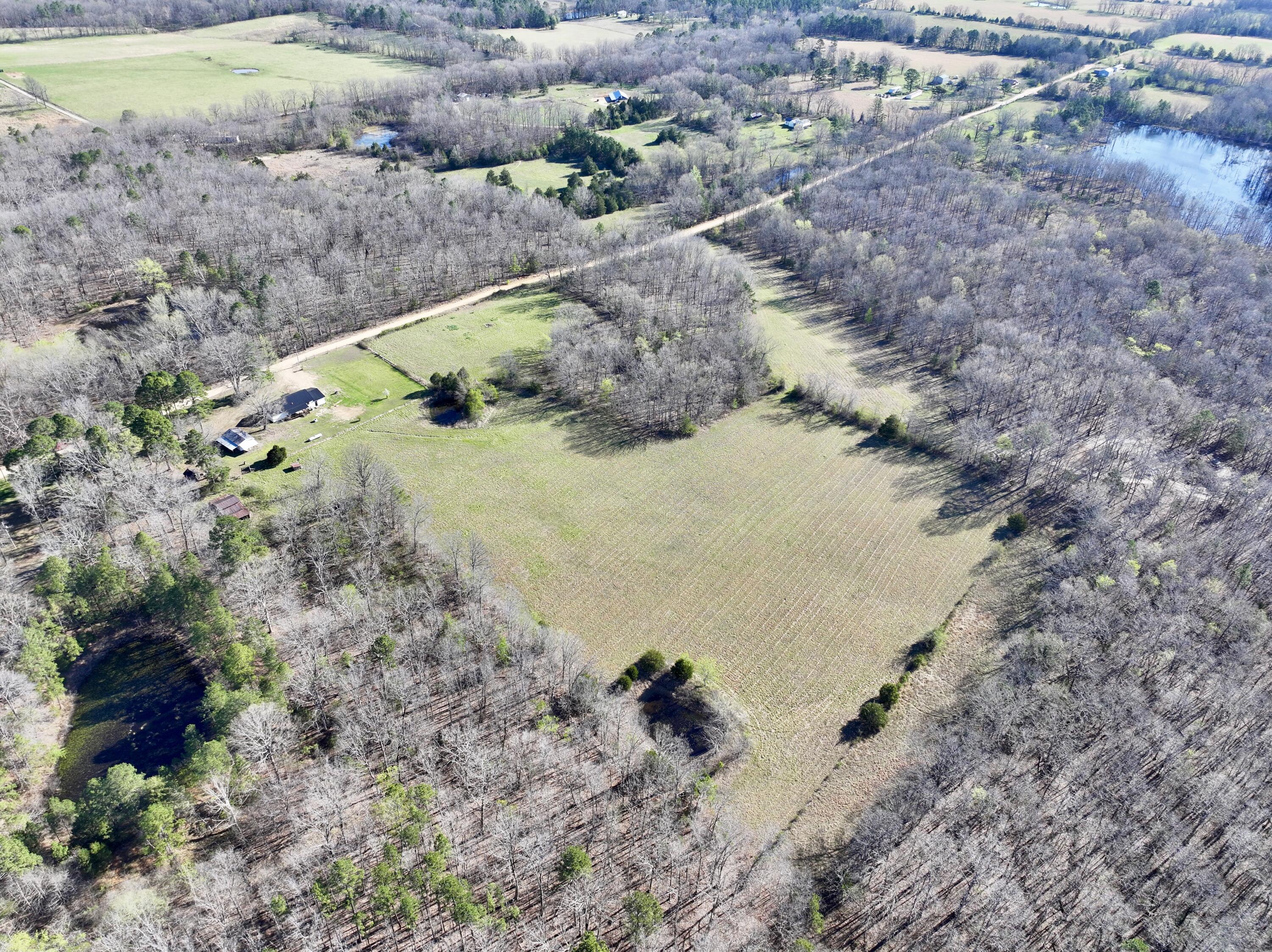 main property photo 41