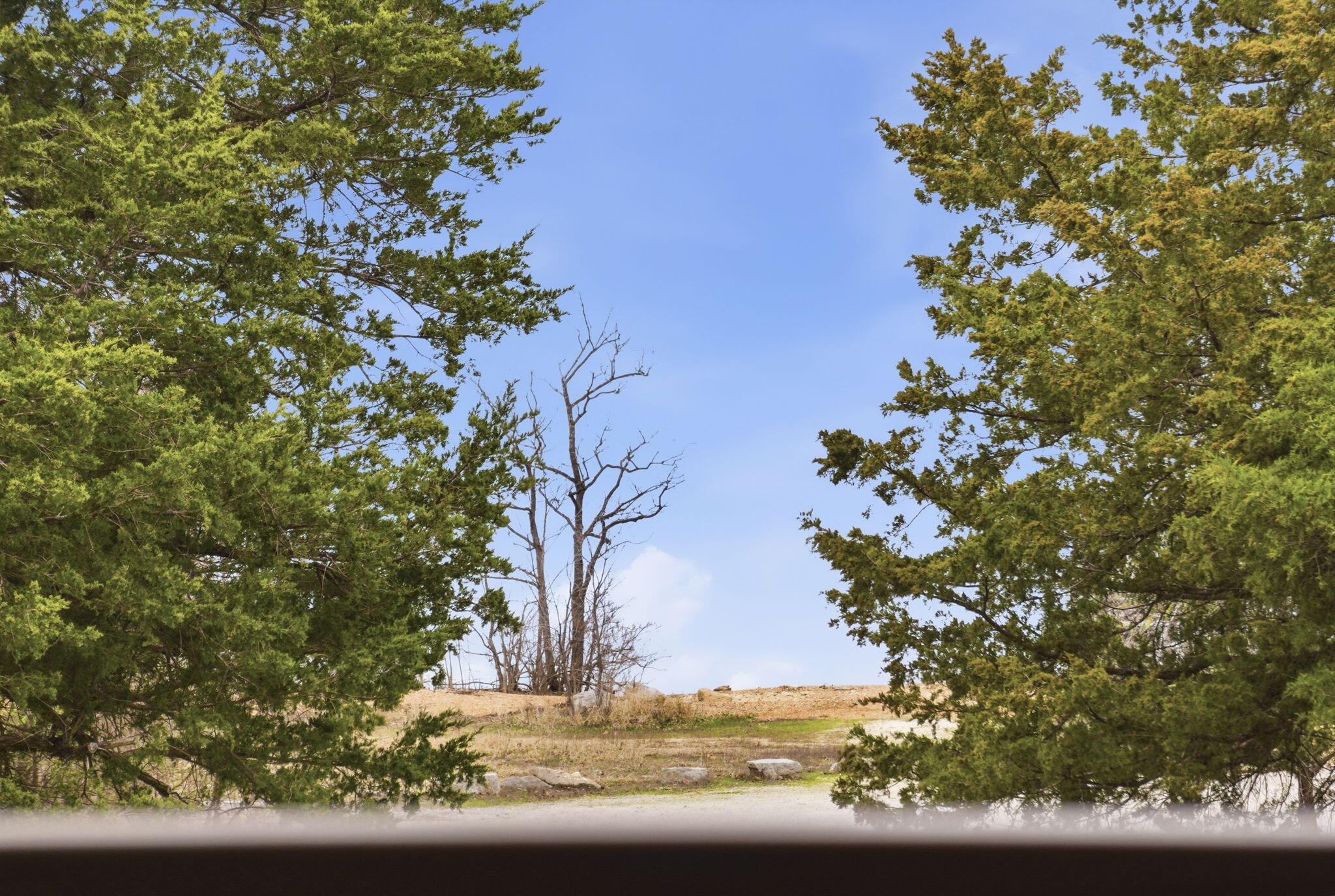 main property photo 54