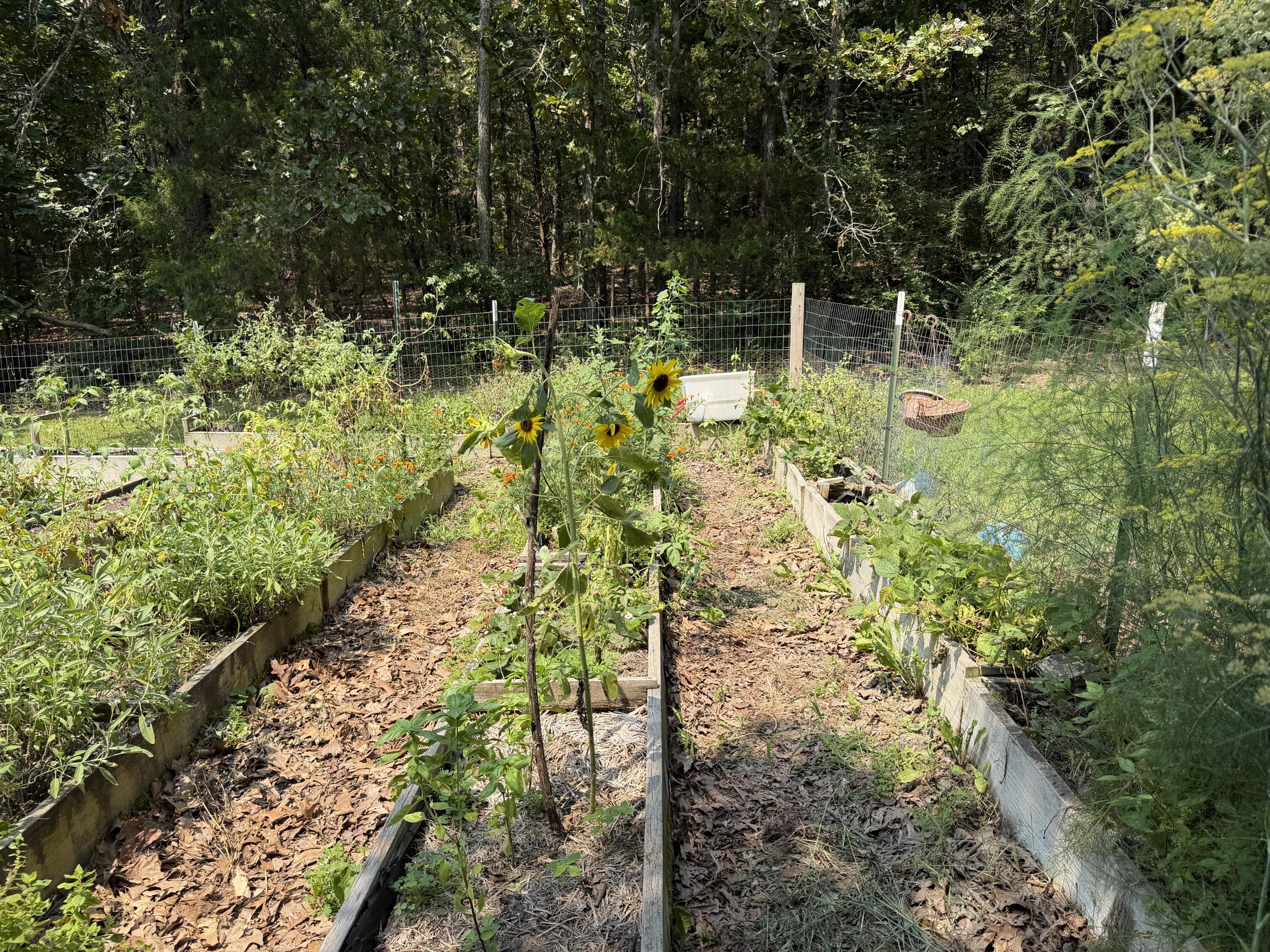 main property photo 48