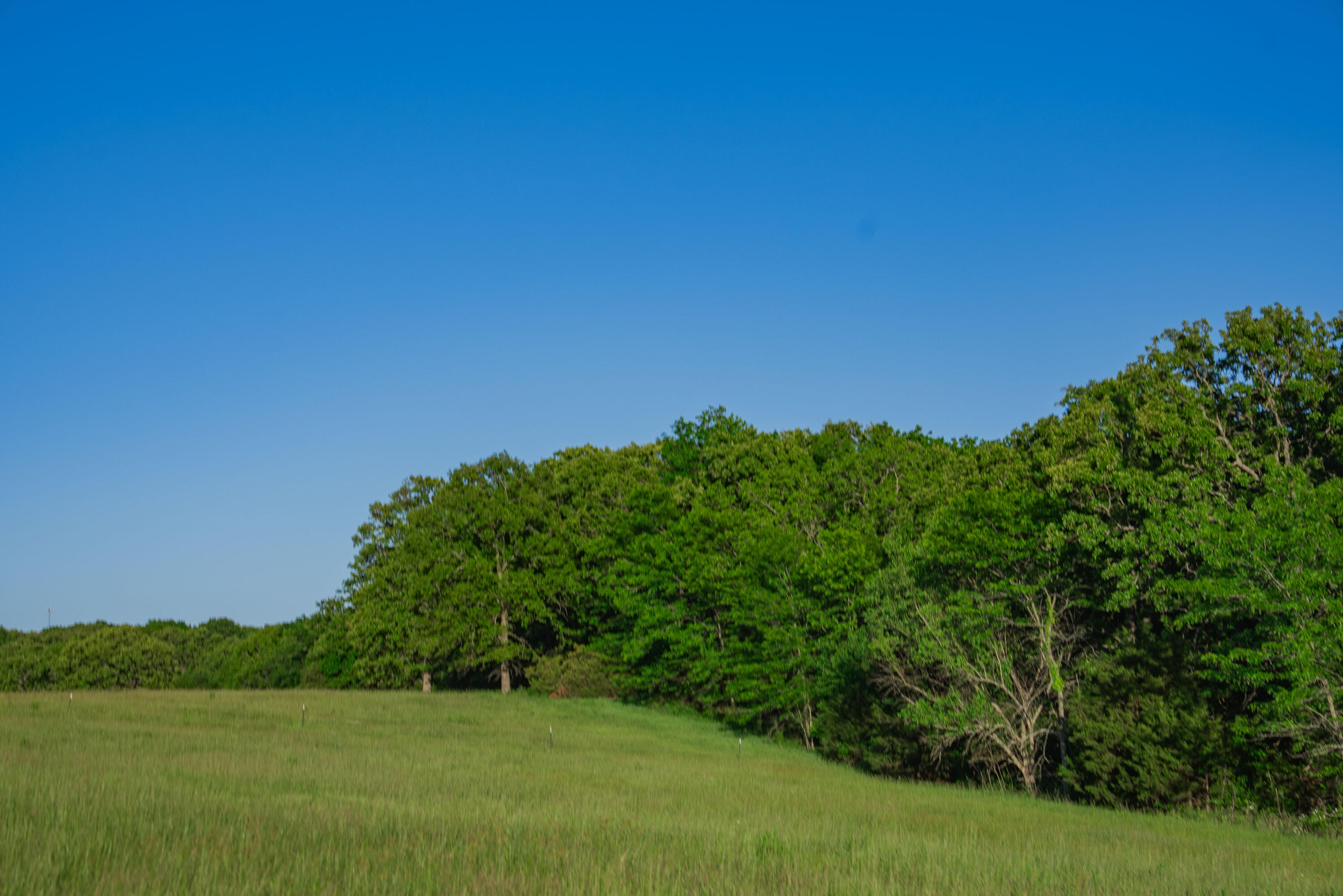 main property photo 78