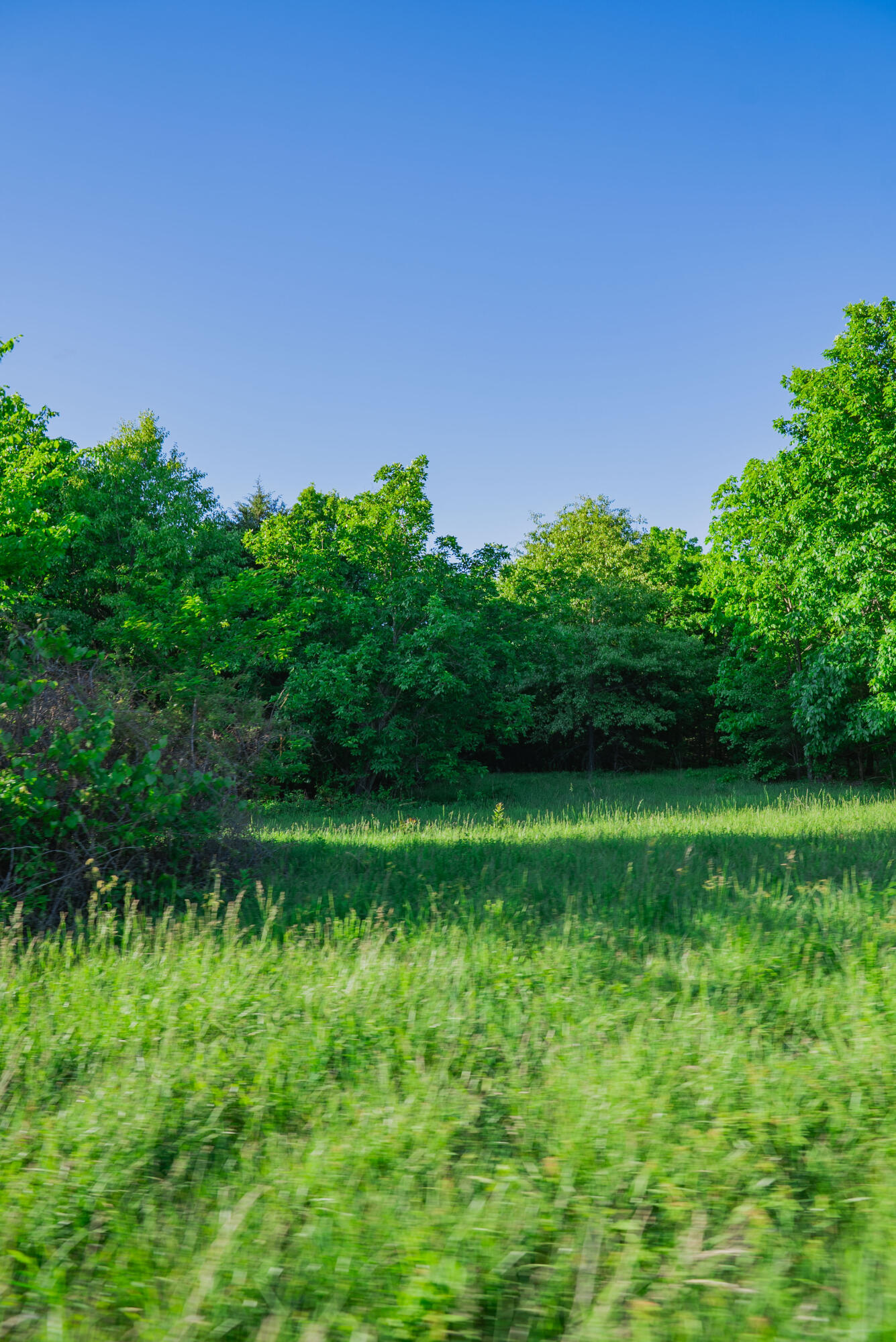 main property photo 68
