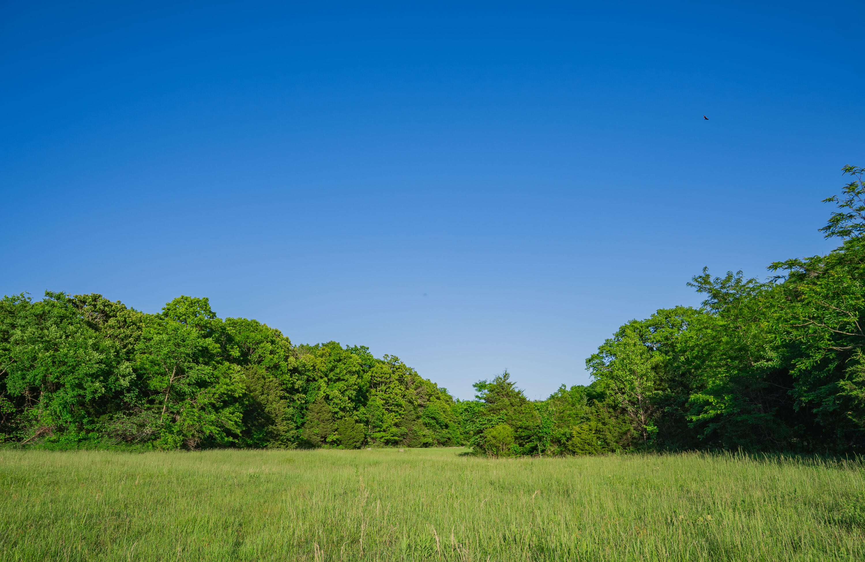 main property photo 72