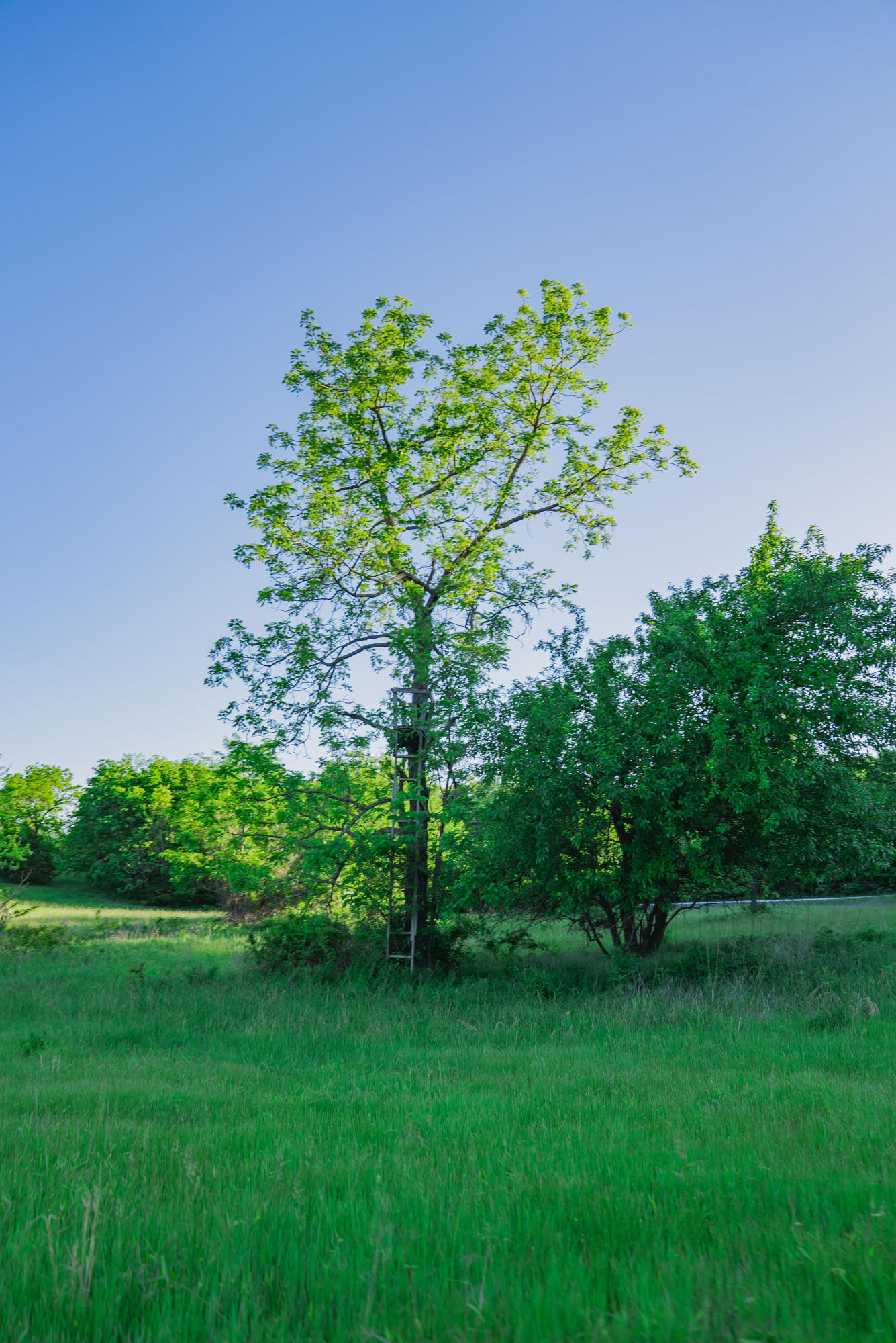 main property photo 76