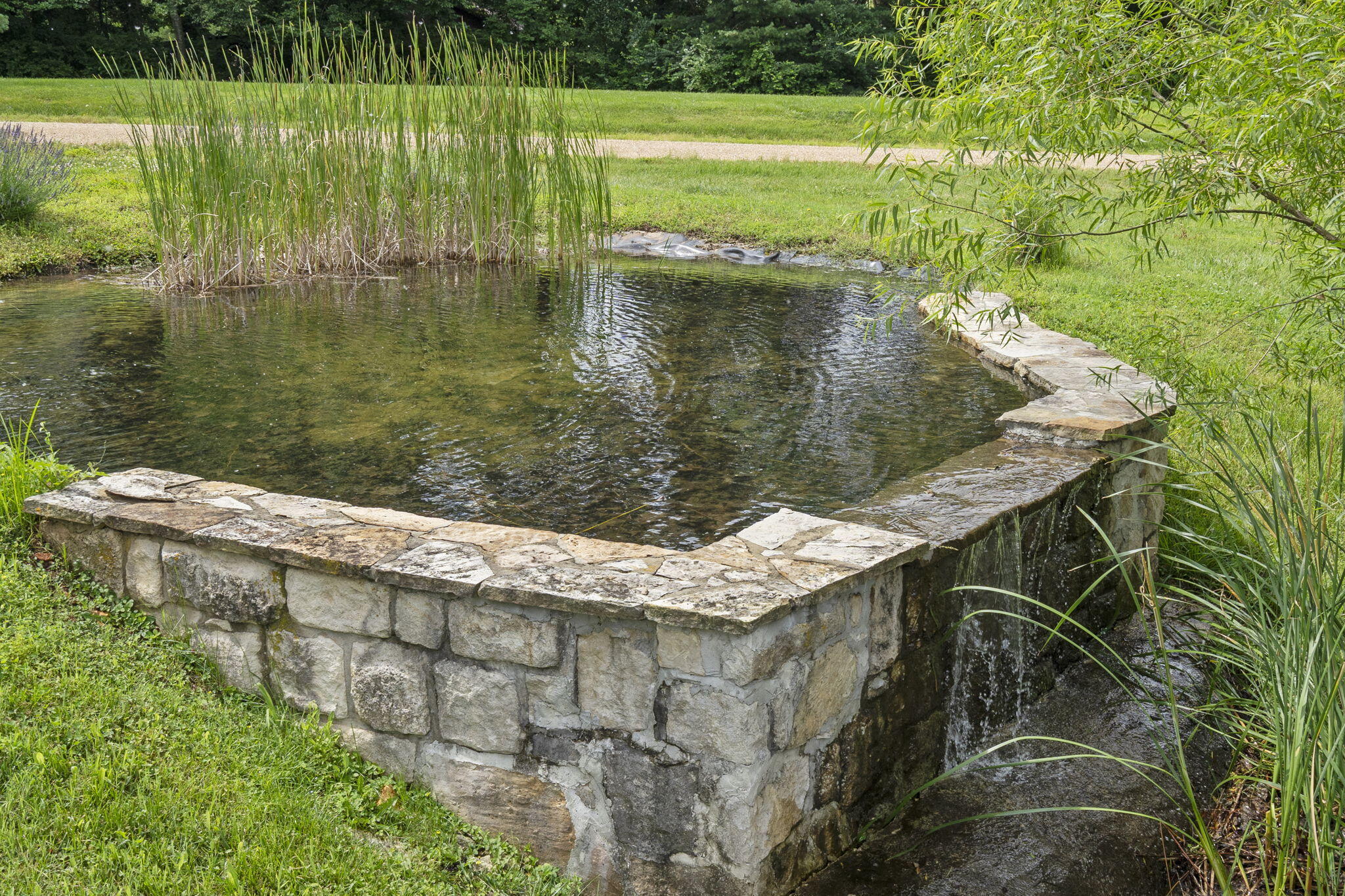 main property photo 110