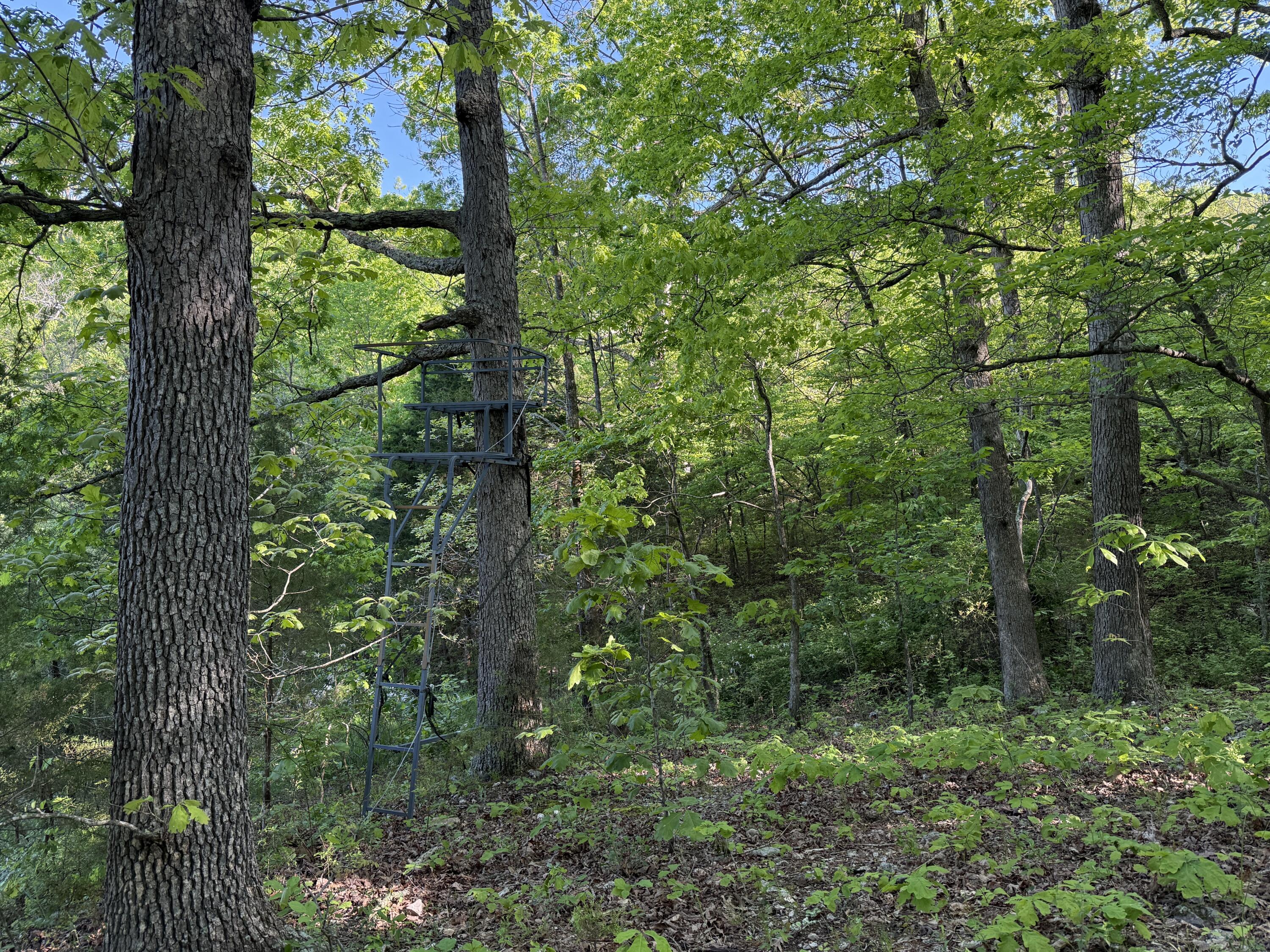 main property photo 22
