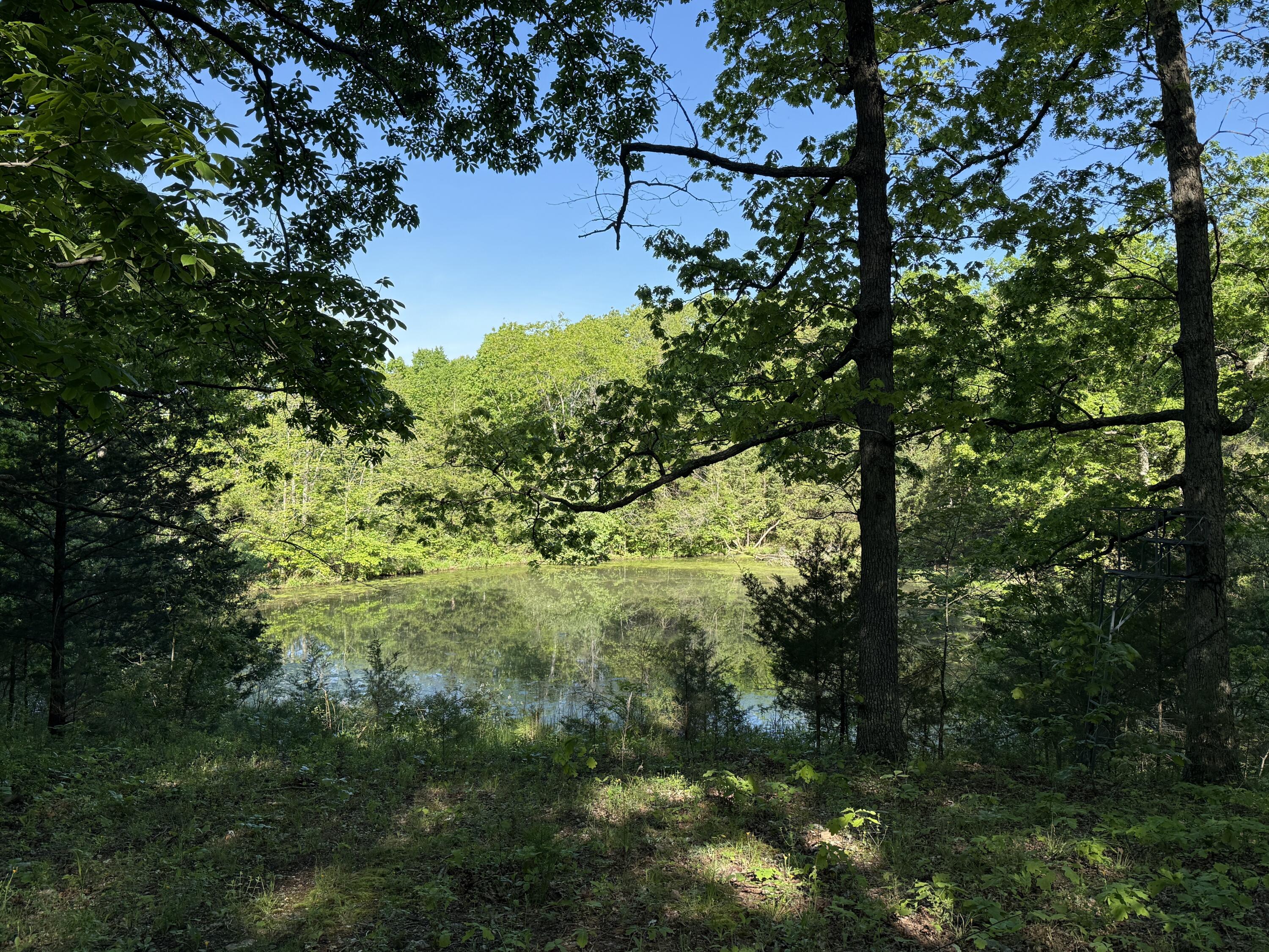 main property photo 23