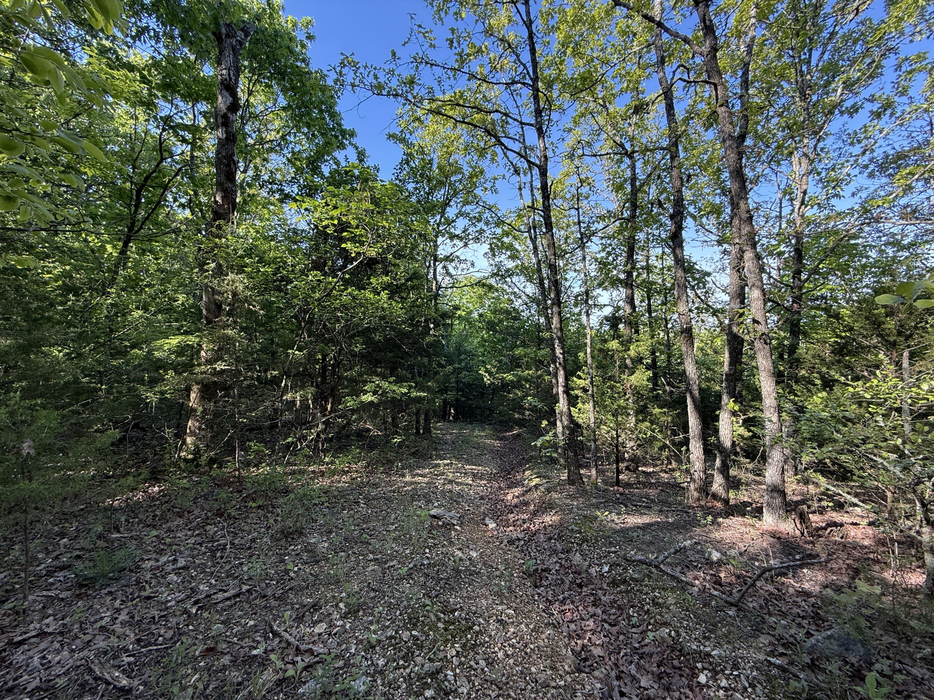 main property photo 25