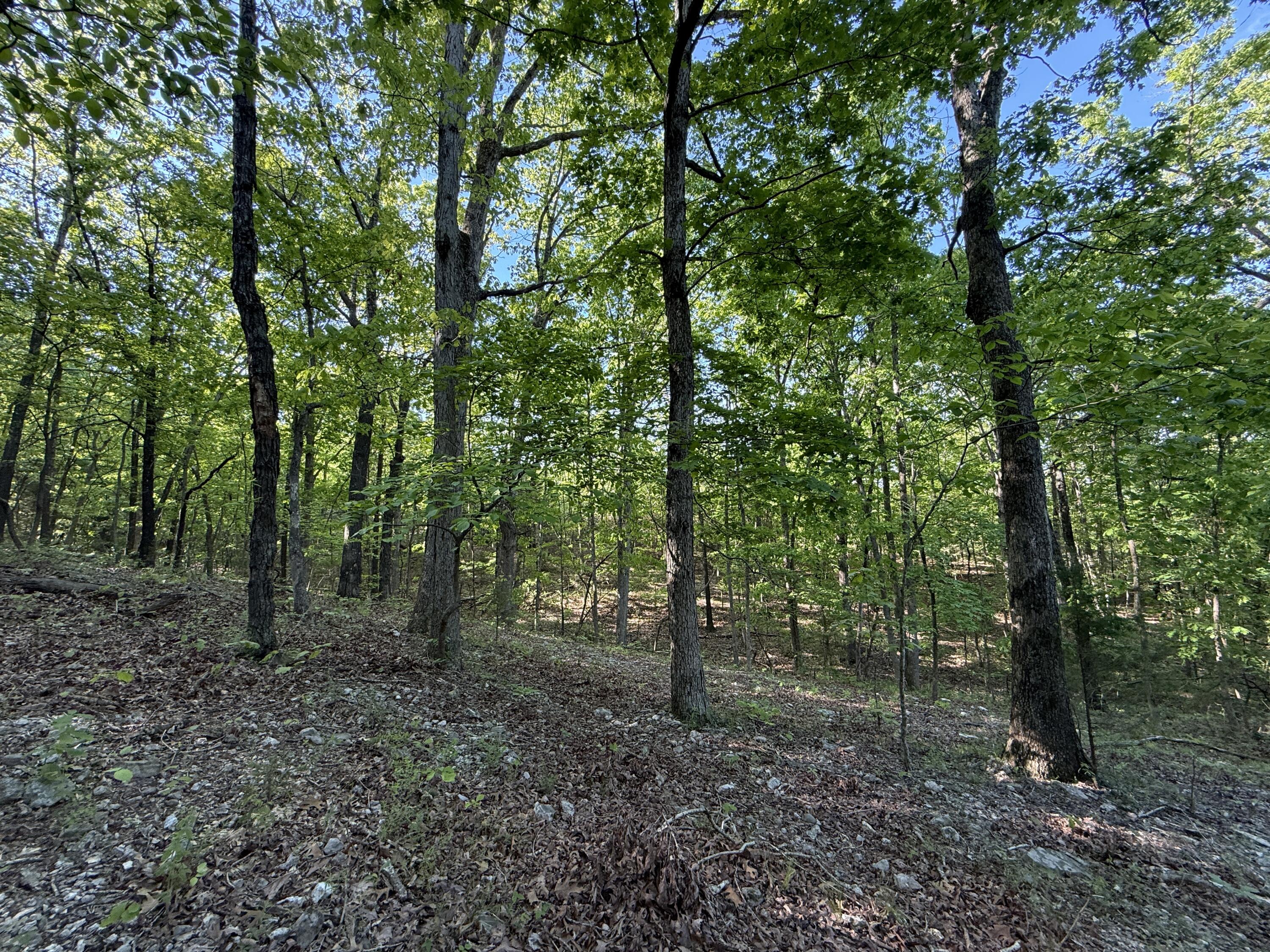 main property photo 26
