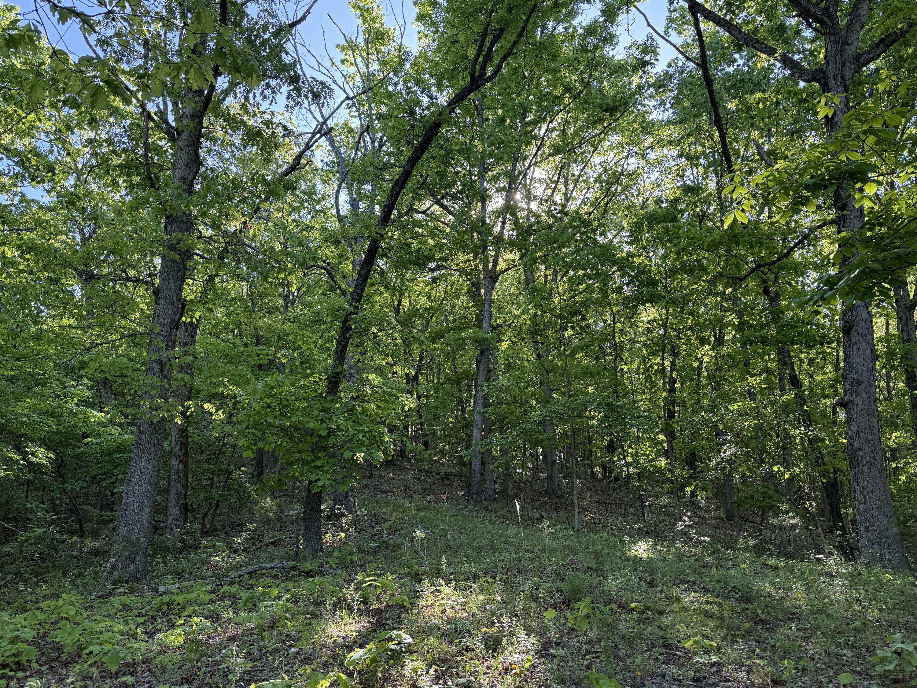 main property photo 27