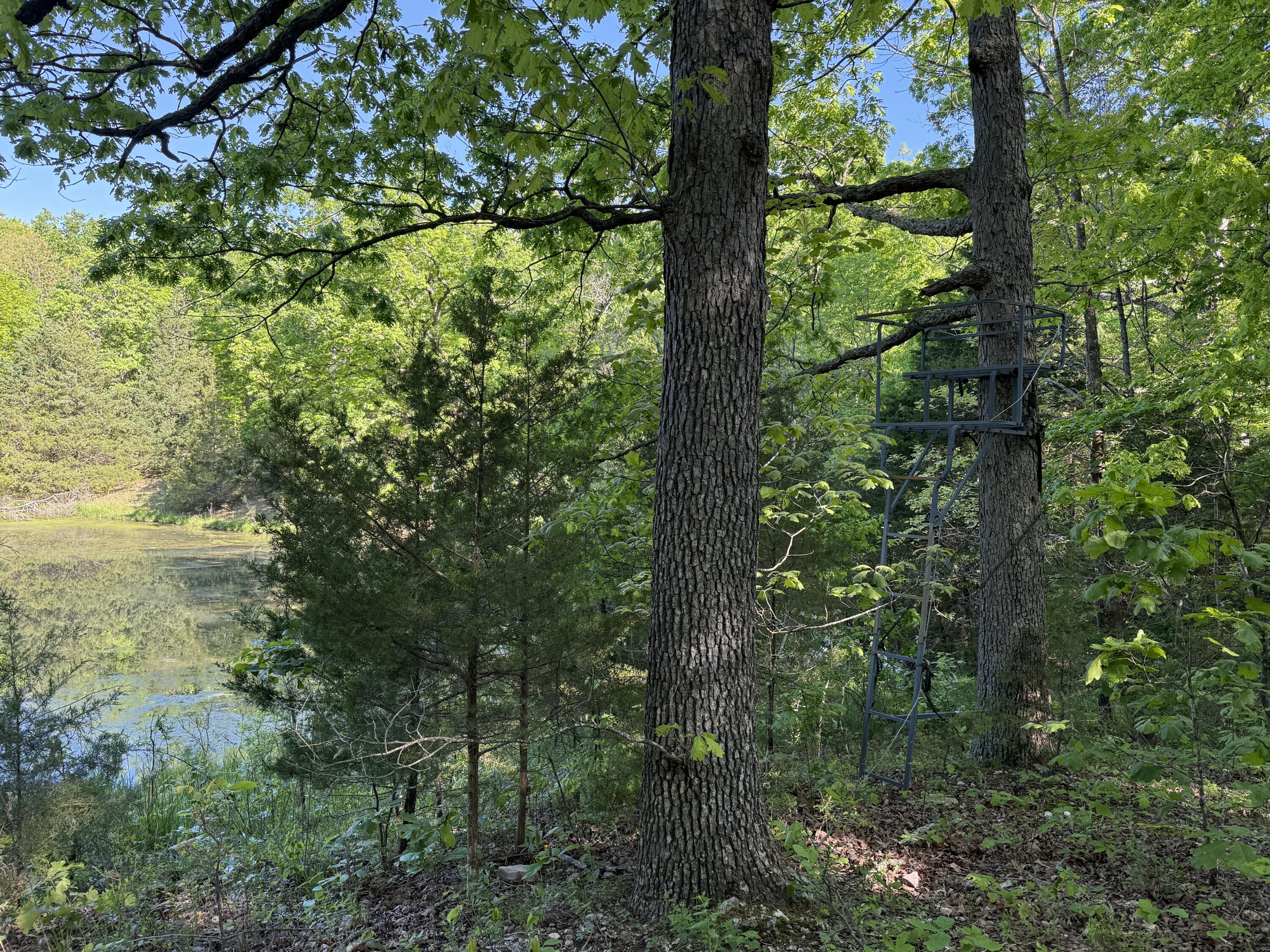 main property photo 28