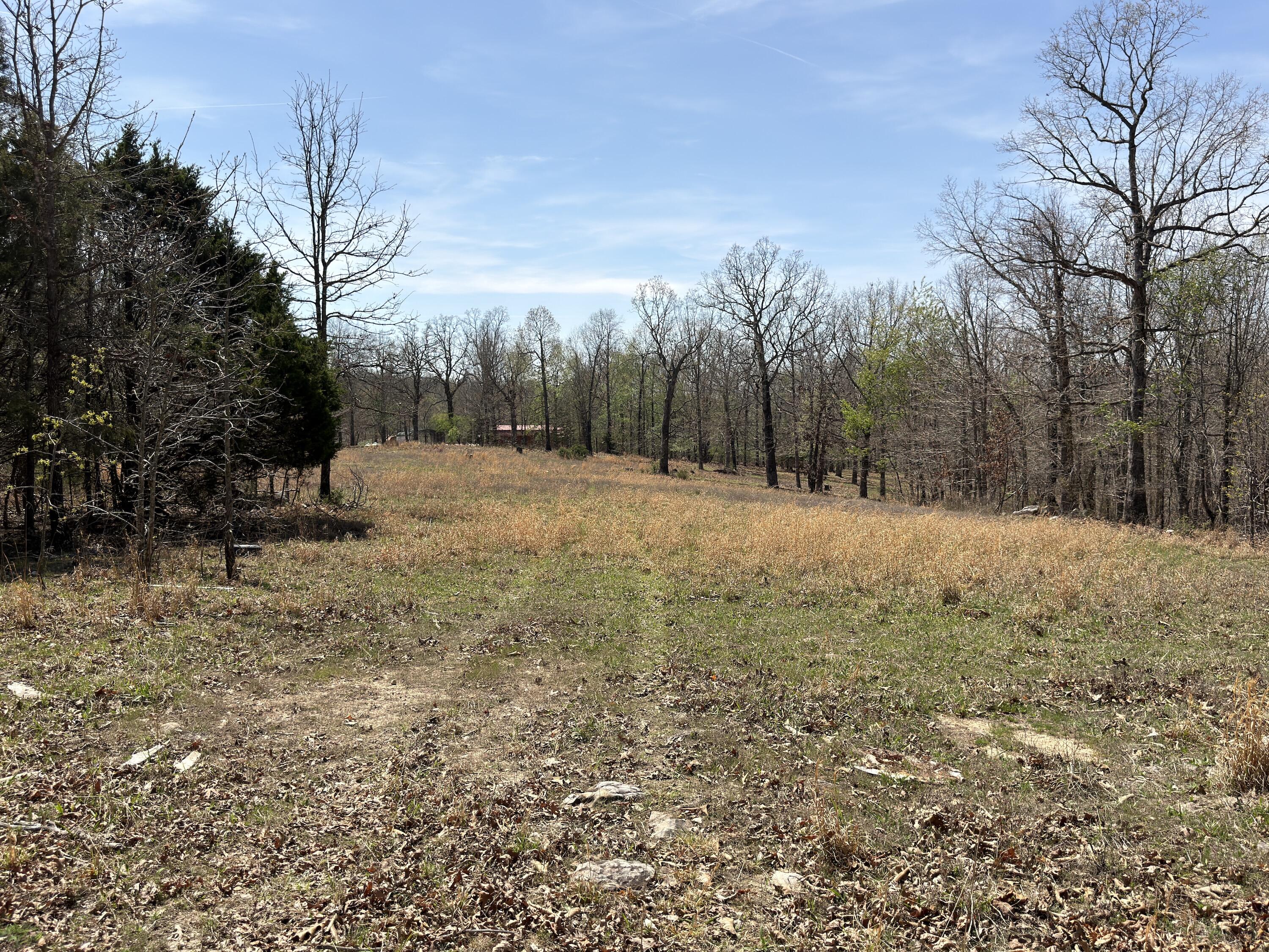 main property photo 114