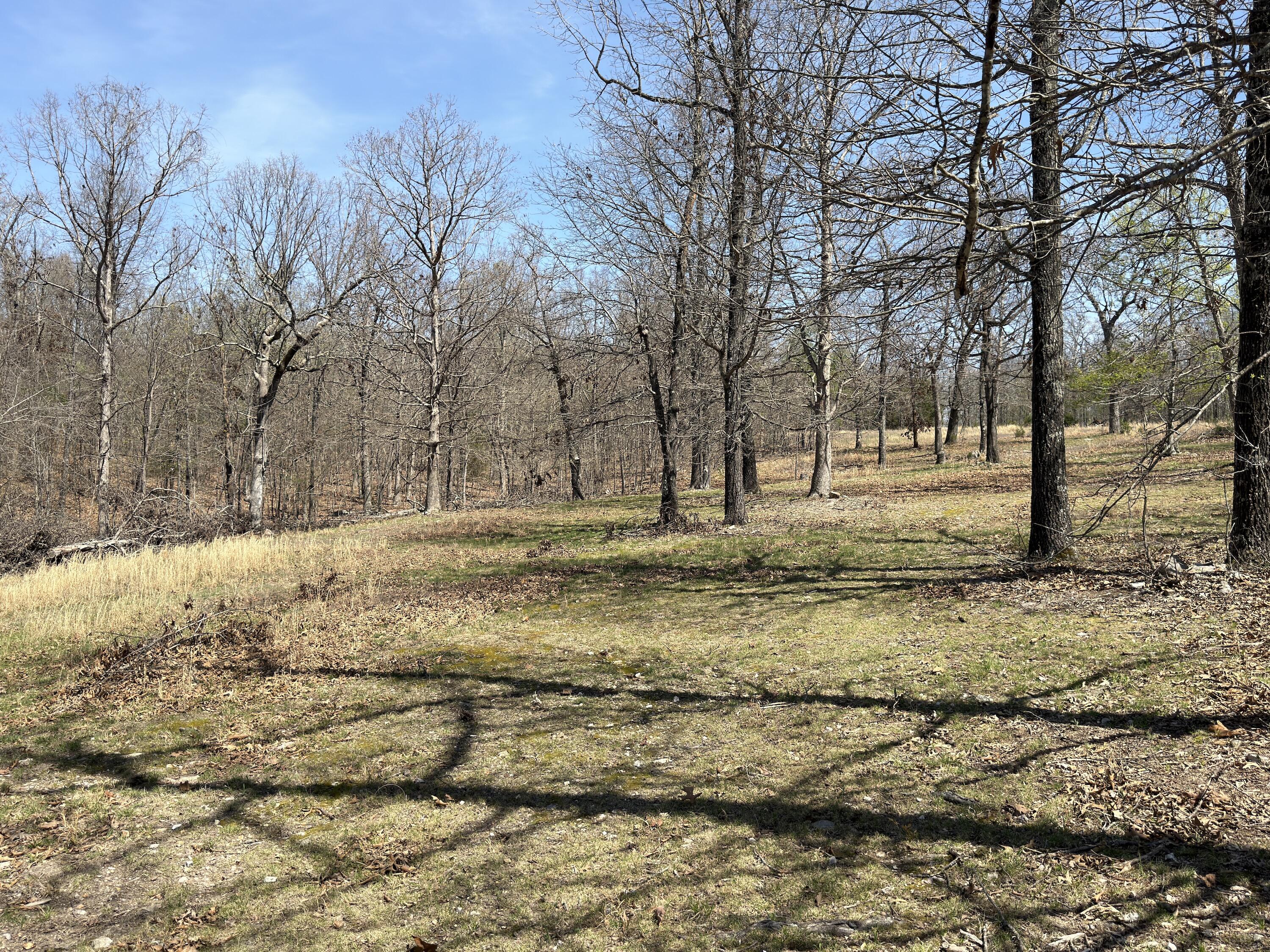 main property photo 115