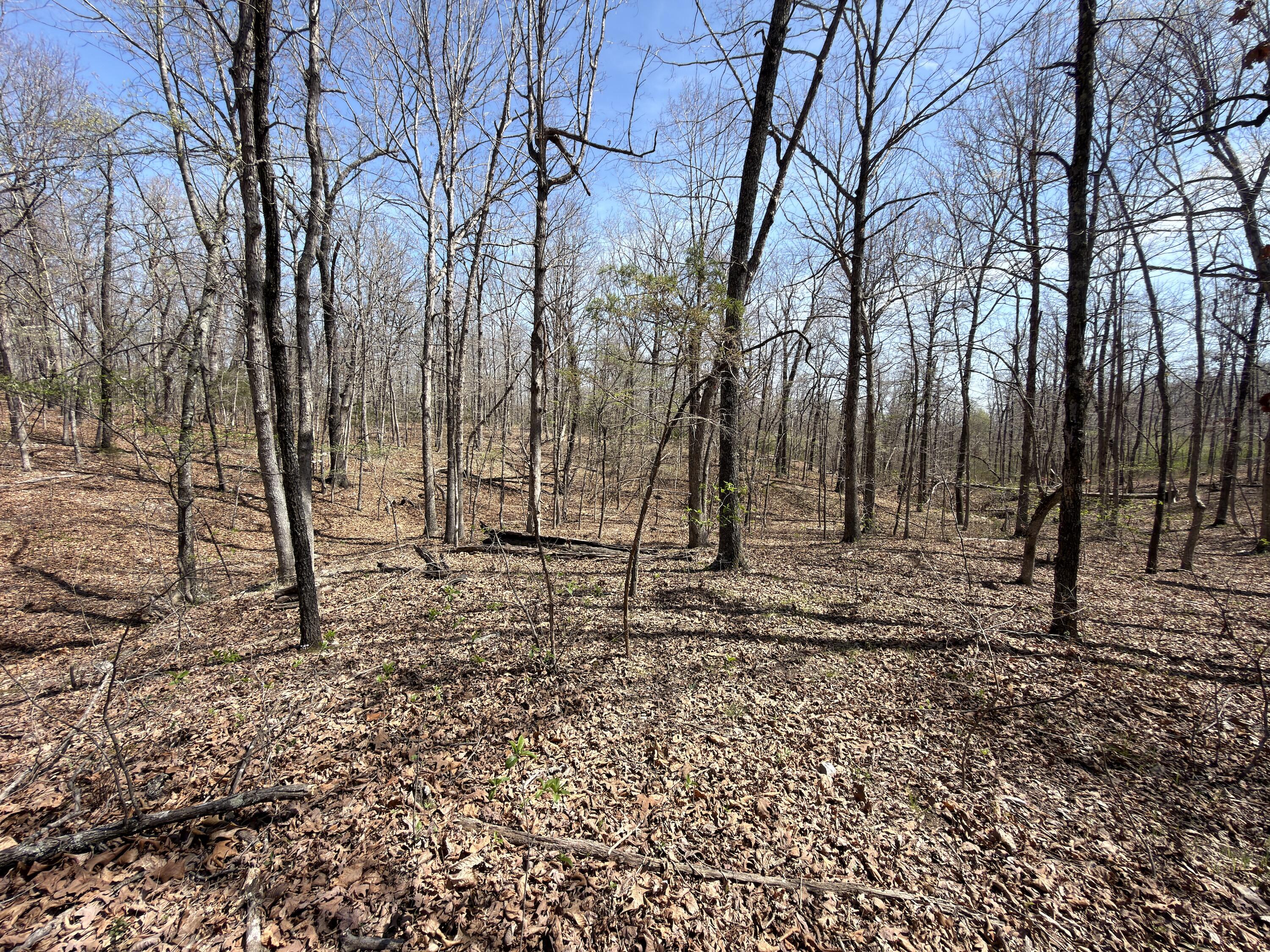 main property photo 117