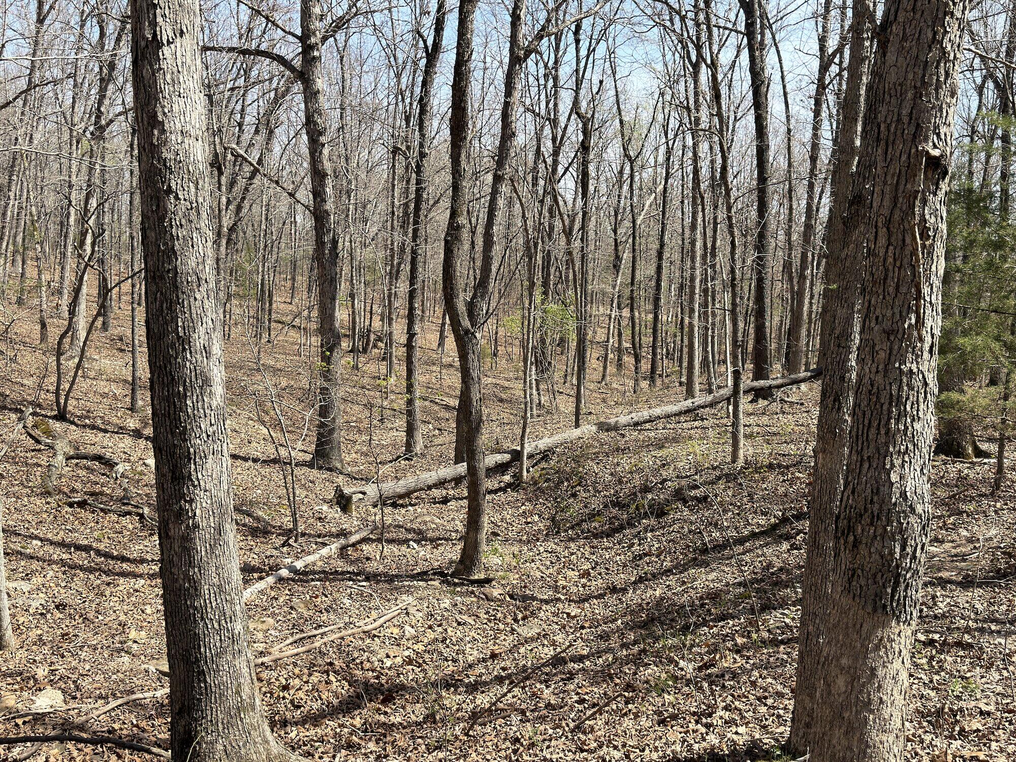 main property photo 118