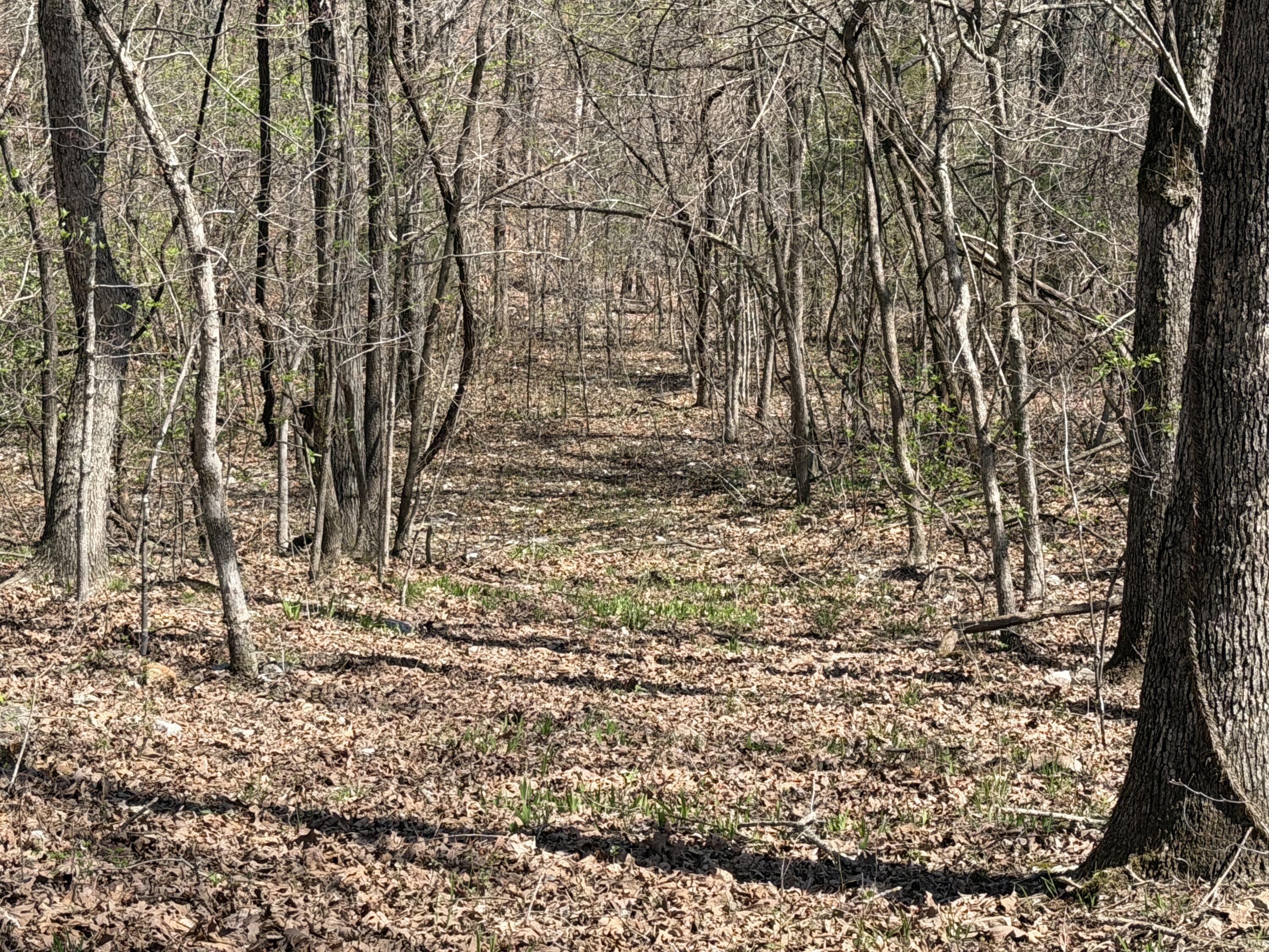 main property photo 119