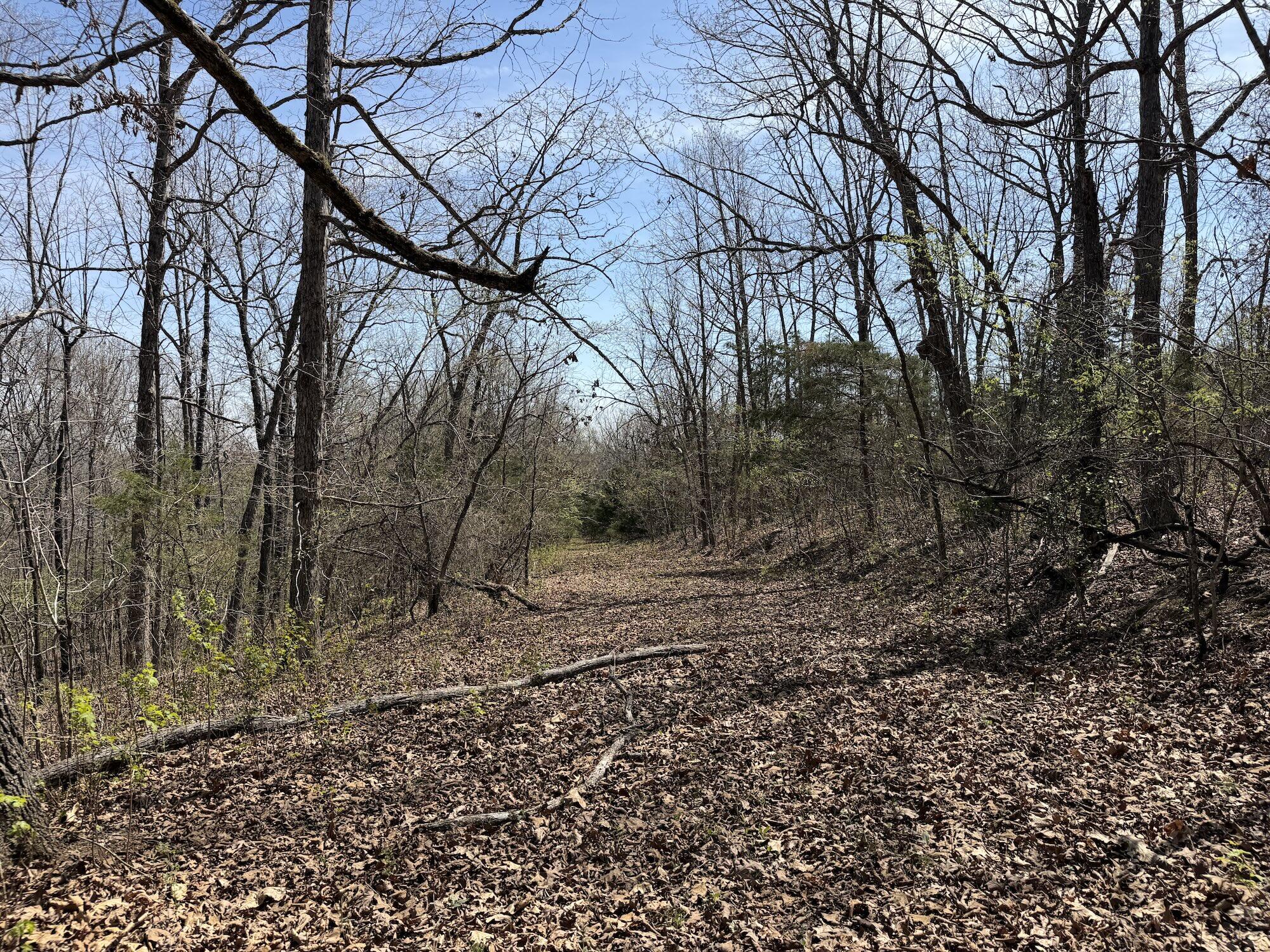 main property photo 120