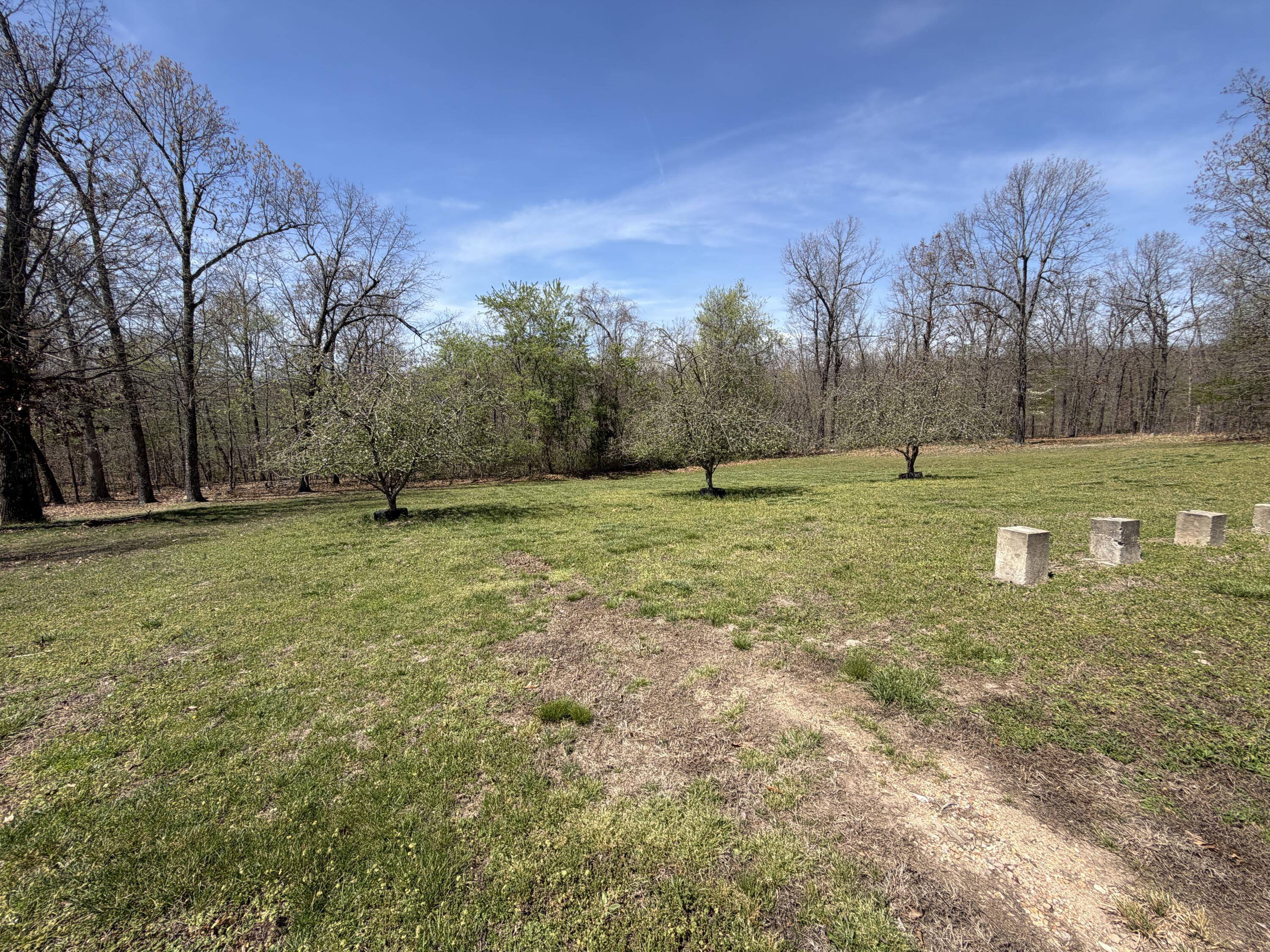main property photo 125